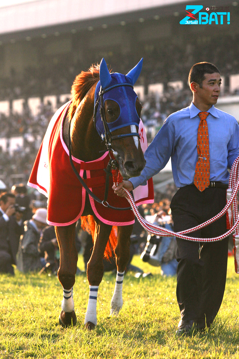 ダイワスカーレット　新馬戦　現地的中単勝馬券　貴重！ ダイワスカーレット 新馬戦 現地的中単勝馬券 貴重！ ダイワ