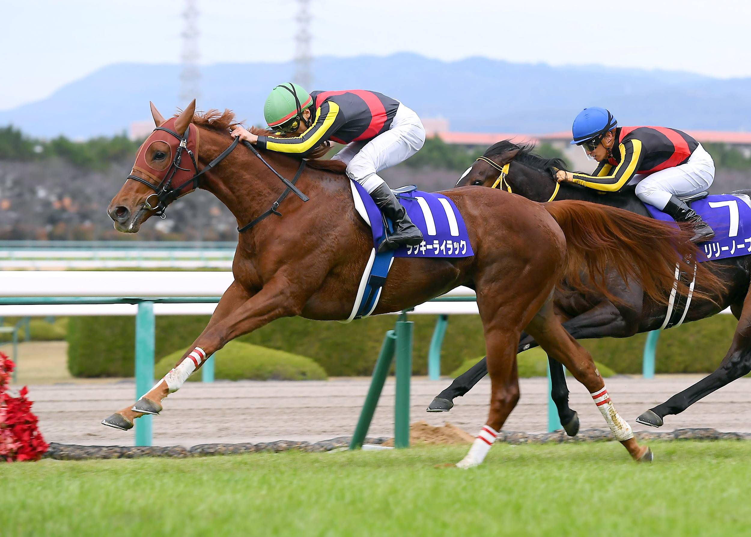 井崎脩五郎のおもしろ競馬学】初の右回りで勝つ馬は大物 - 産経ニュース