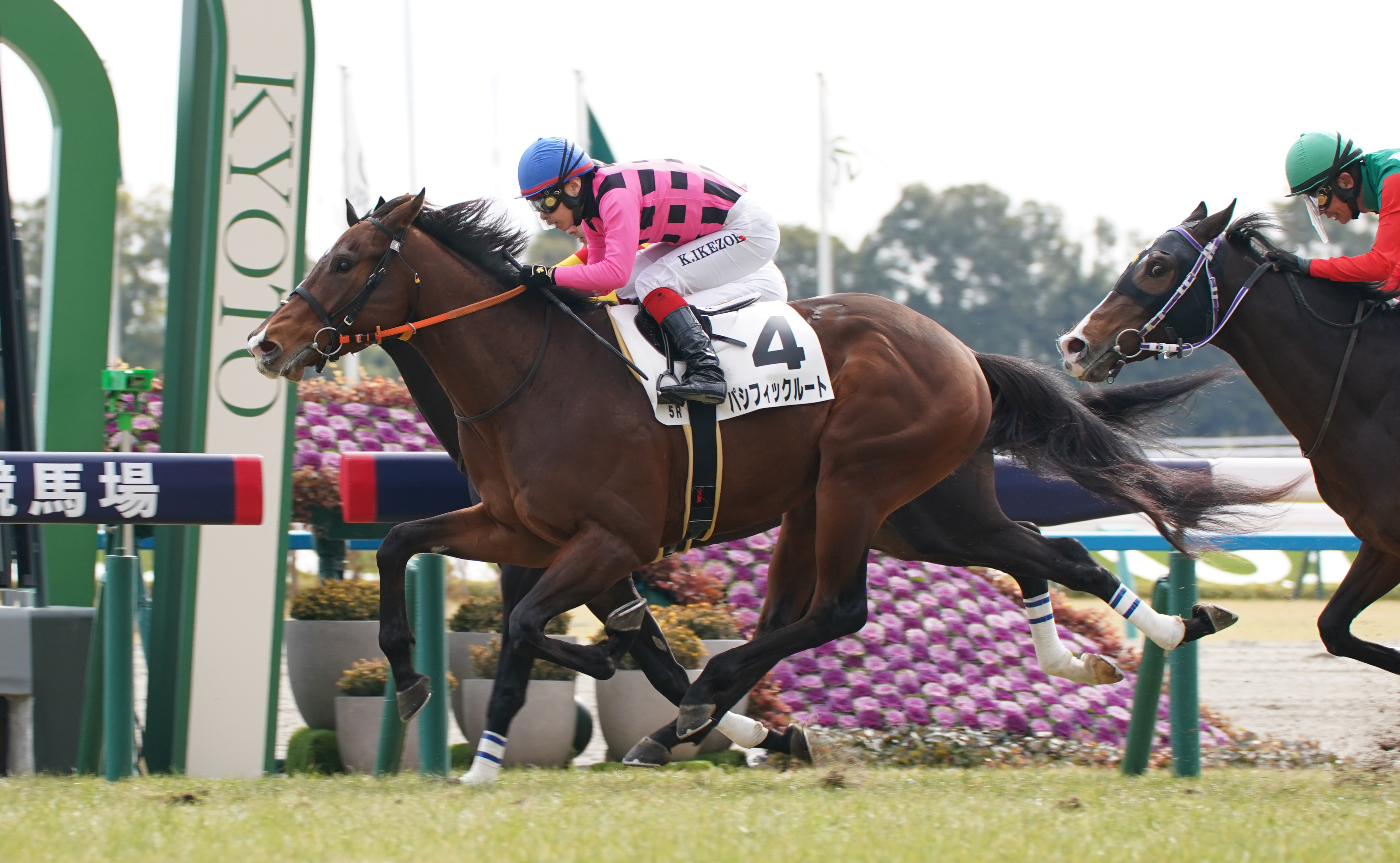 ＪＲＡ中央競馬予想 「自信の１鞍勝負」 - 情報