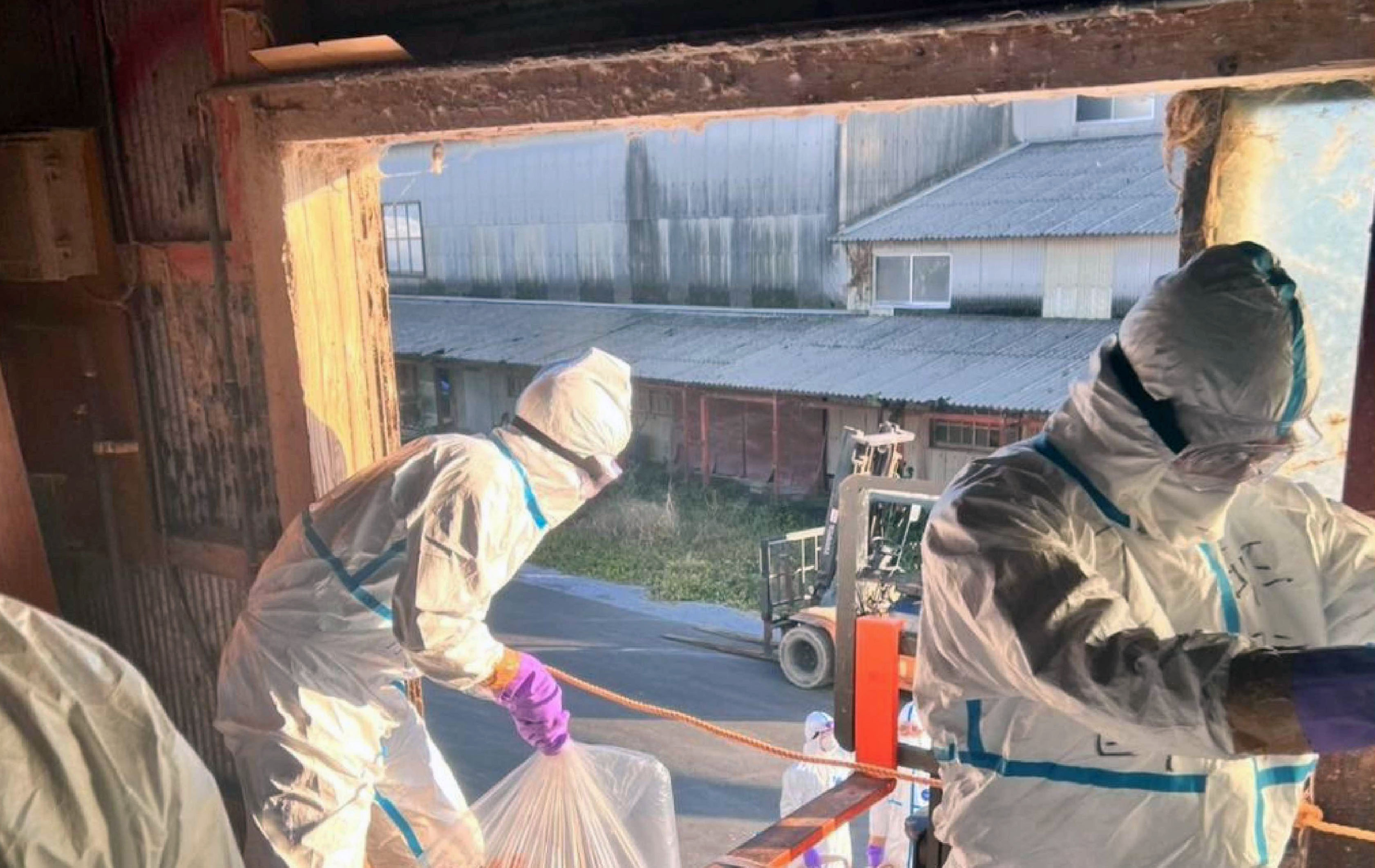 鹿児島で鶏12万羽殺処分 鳥インフル「疑似患畜」 - 産経ニュース