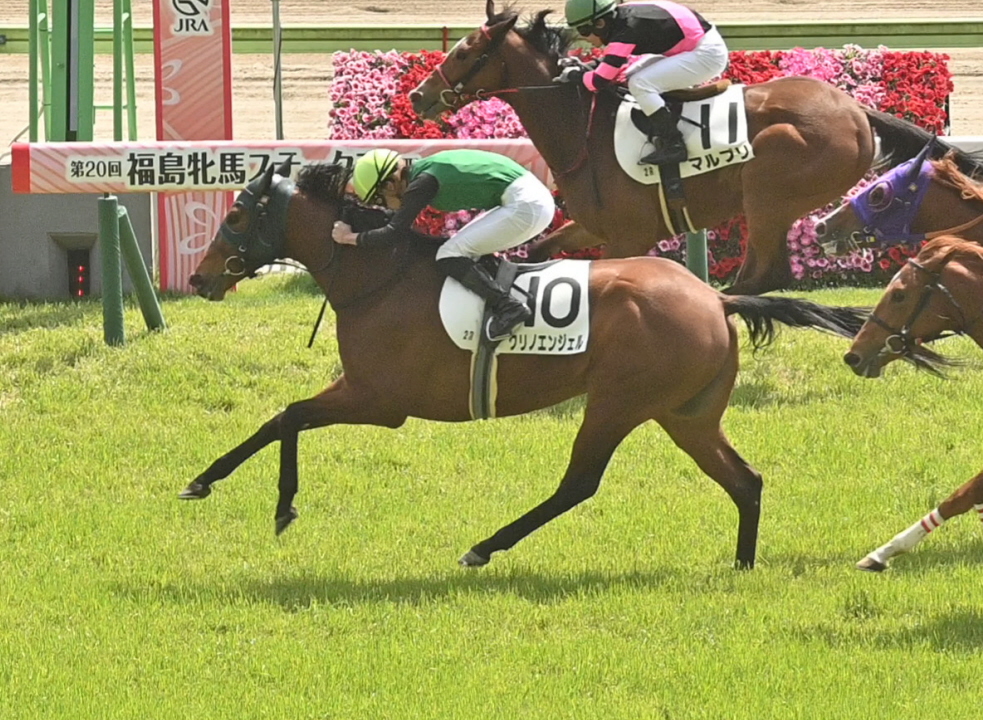 ヒロシのDeepな話】春の新潟開幕！ 夏とは「異質」の馬場がカギ