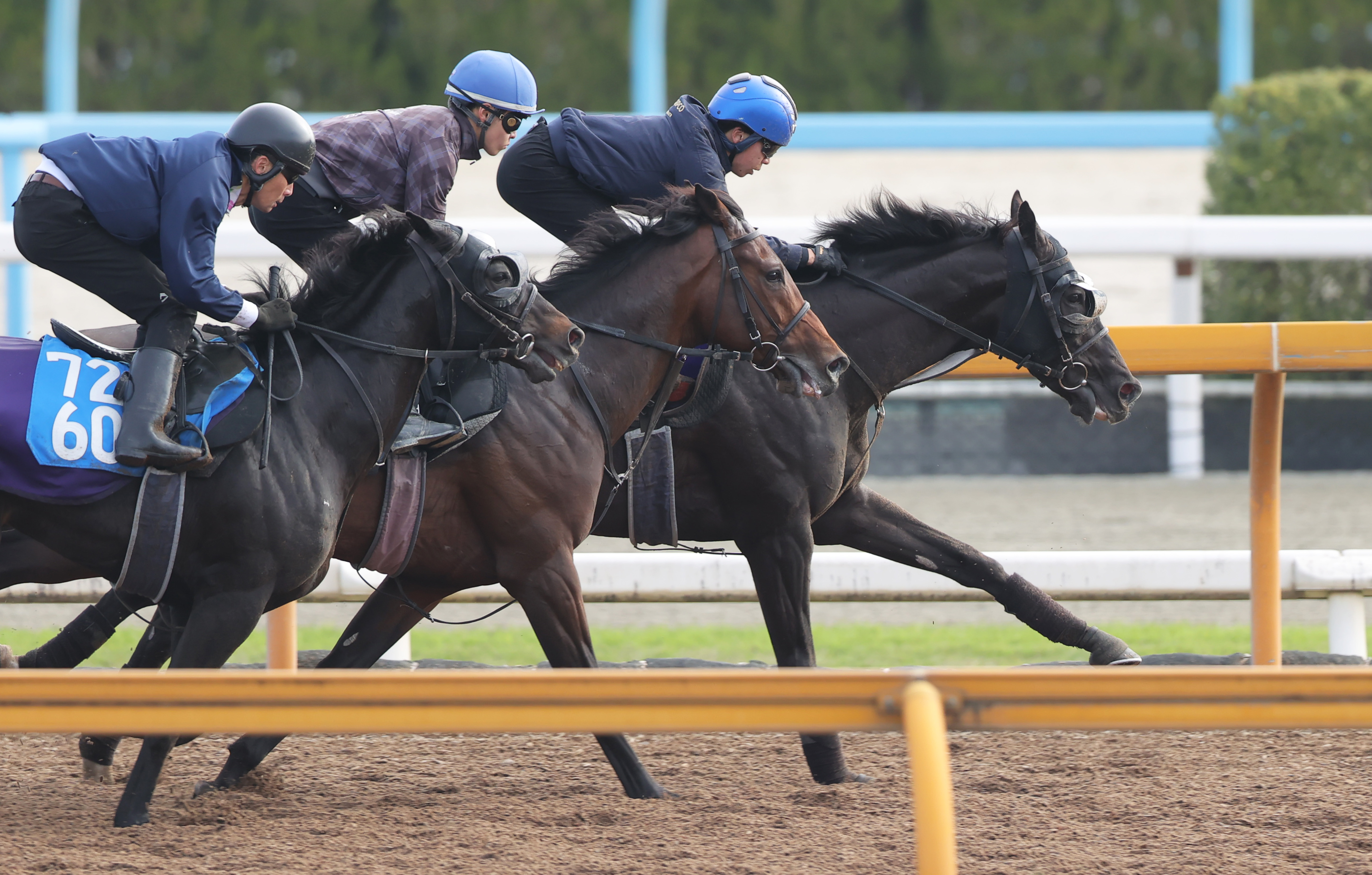 天皇賞・春 1週前追い切り】クロワデュノールが3頭併せでラスト11秒1