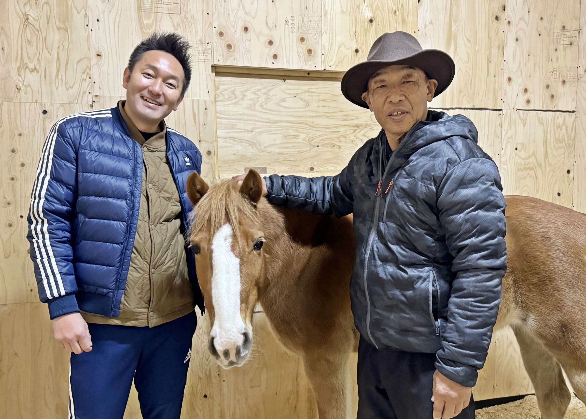 和種馬が発達障害の子供らをサポート 大阪・柏原にホース