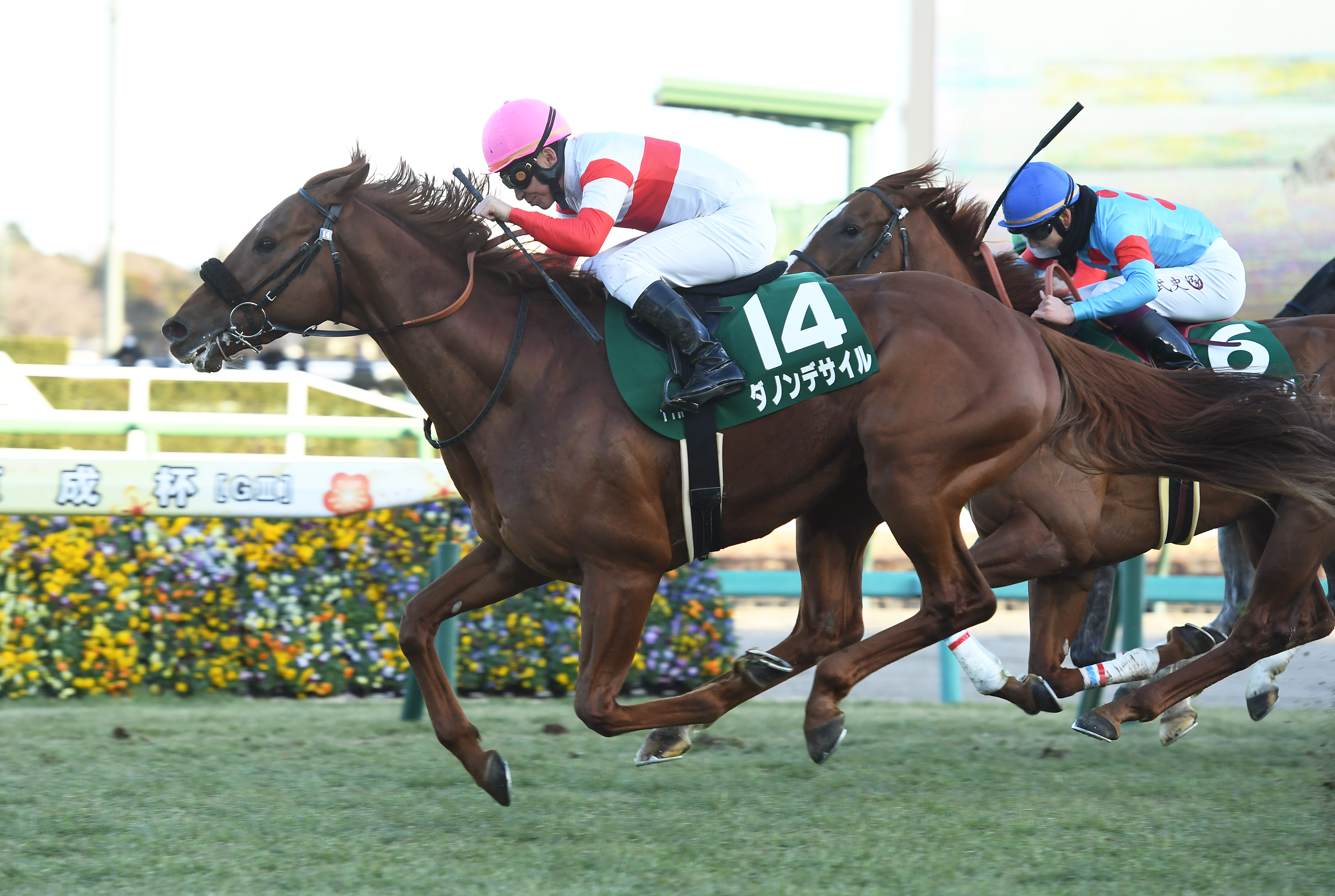 京成杯】ダノンデサイルが鋭い末脚で差し切る！横山典弘騎手はJRA最