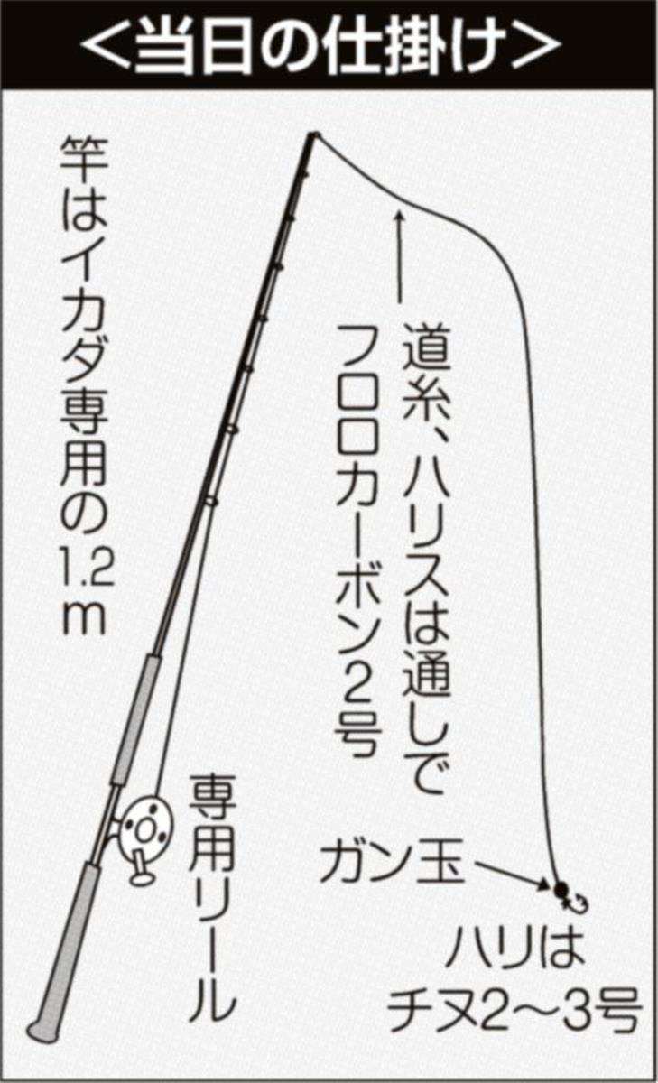 ダンゴで狙うクロダイ 冬モード突入 静岡市 清水港 1 2ページ サンスポ