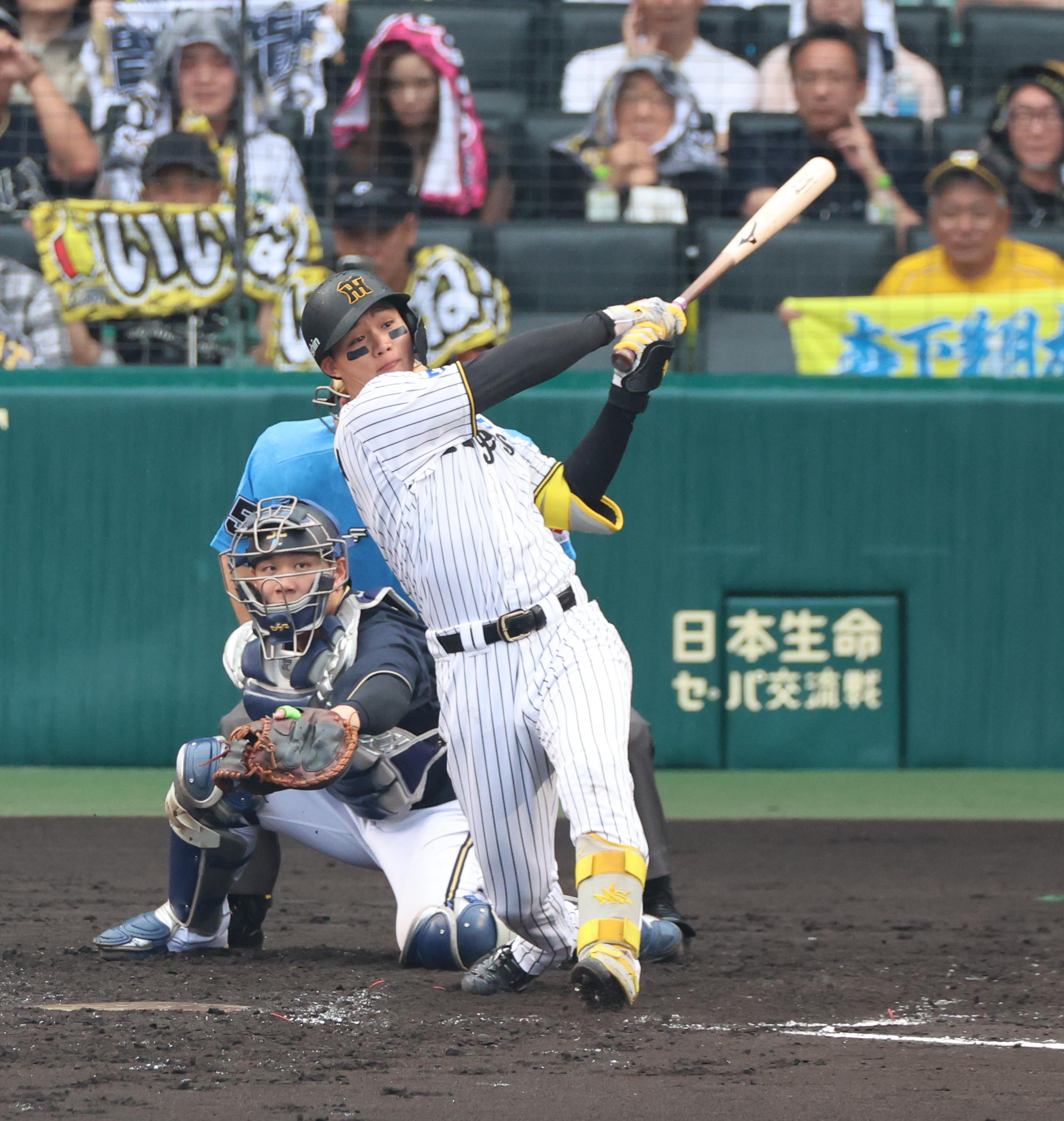 甲子園球場限定配布】森下翔太 ボブルヘッド 阪神タイガース