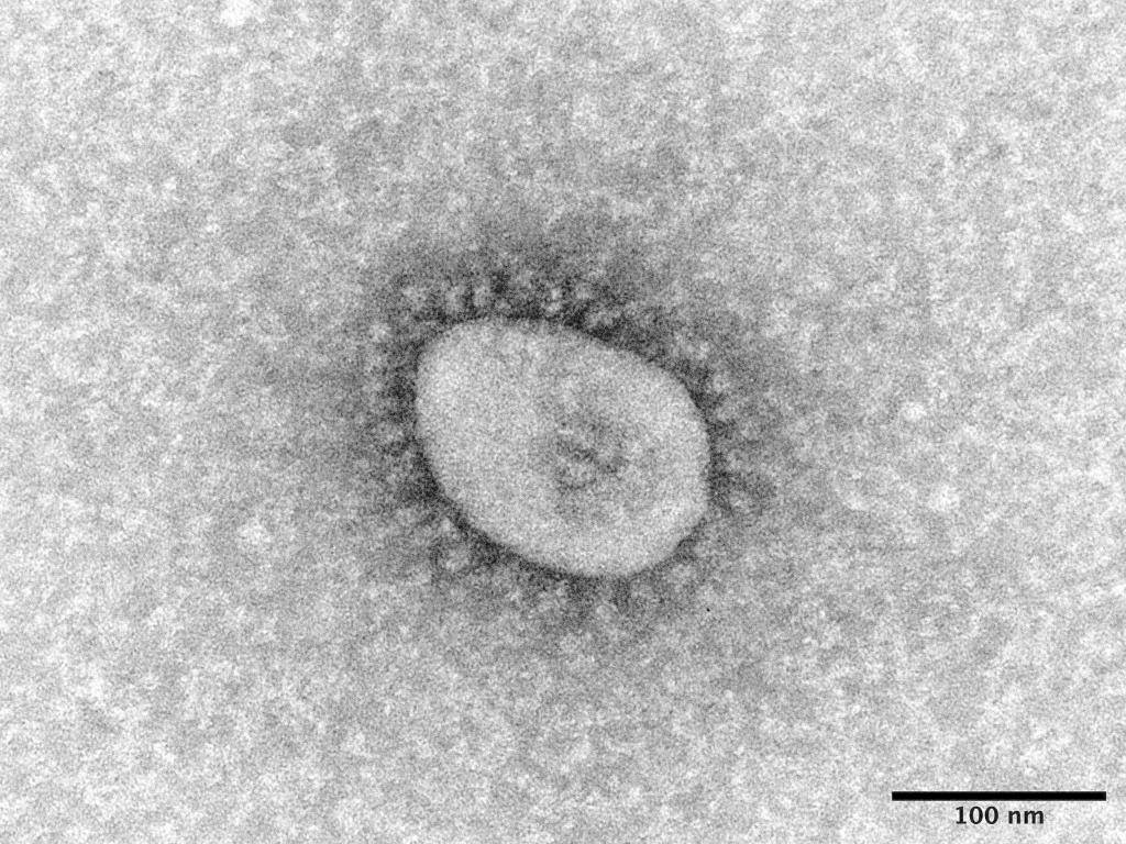 政府 オミクロン対応ワクチン接種を９月からに前倒し １８歳以上が対象 産経ニュース