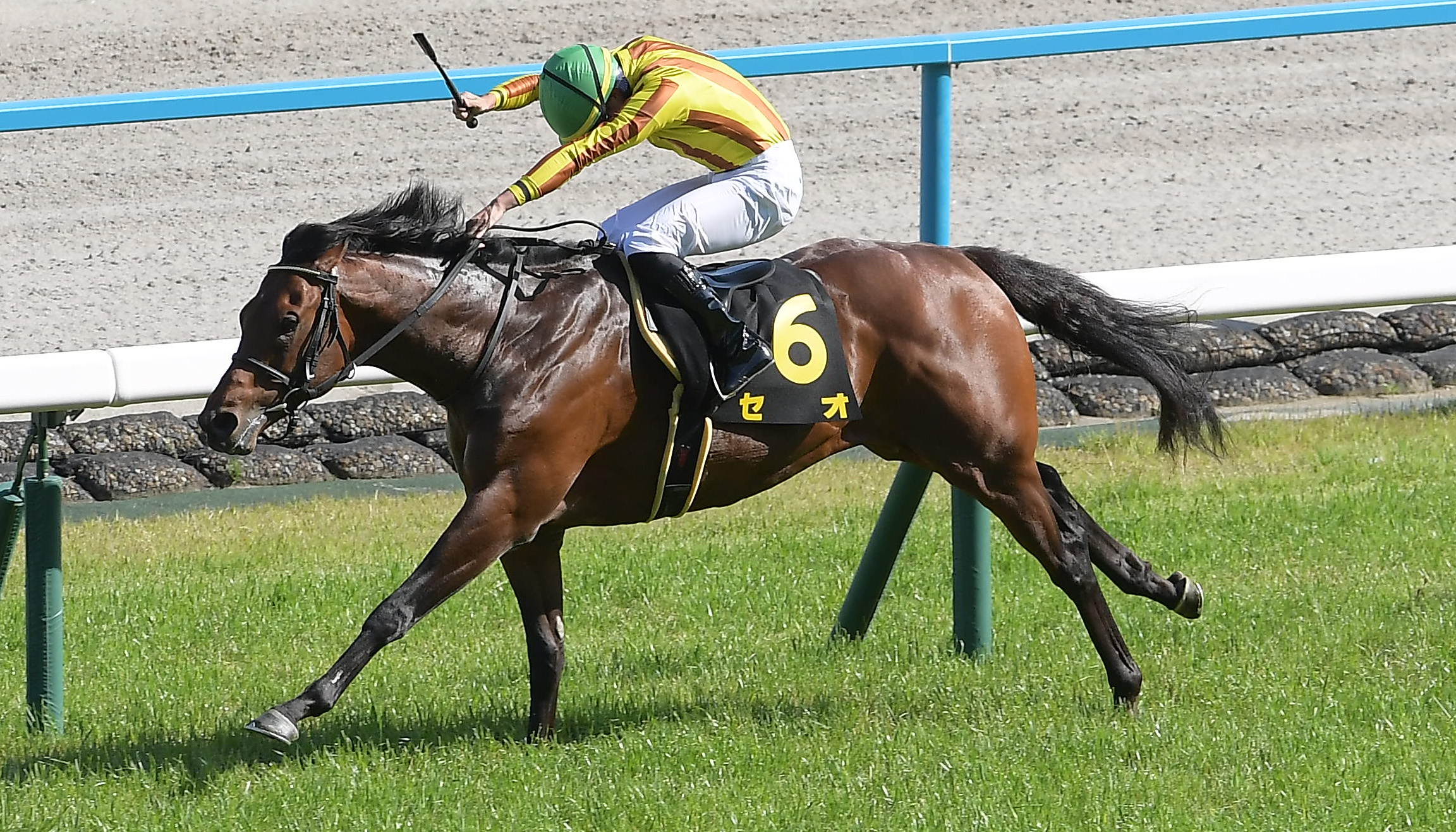 競馬 名馬 大きいパネル^o^ 競馬 名馬 大きいパネル^o^