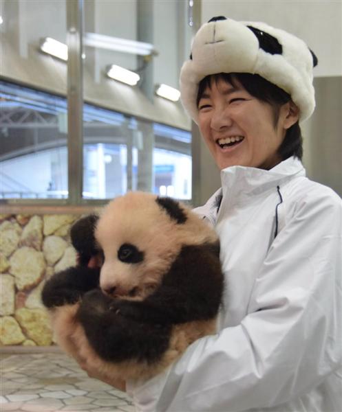 関西の議論 中国もびっくり １５頭のパンダ誕生させた和歌山アドベンチャーワールド 繁殖の技術力に国内外から注目 2 5ページ 産経ニュース