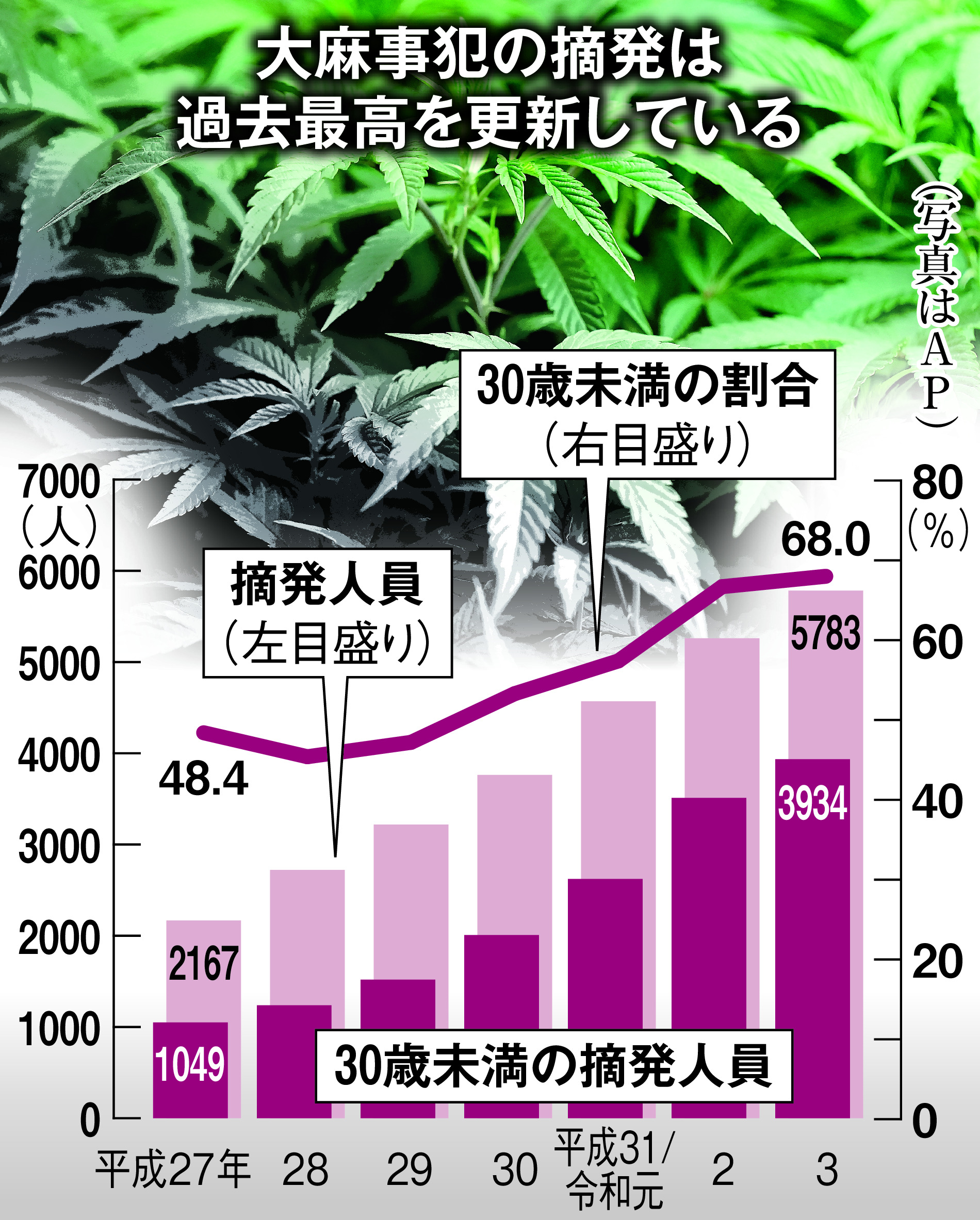 送料無料/新品 CD-ROM 大麻取締法とは何か？大麻取締法を問う 2024年