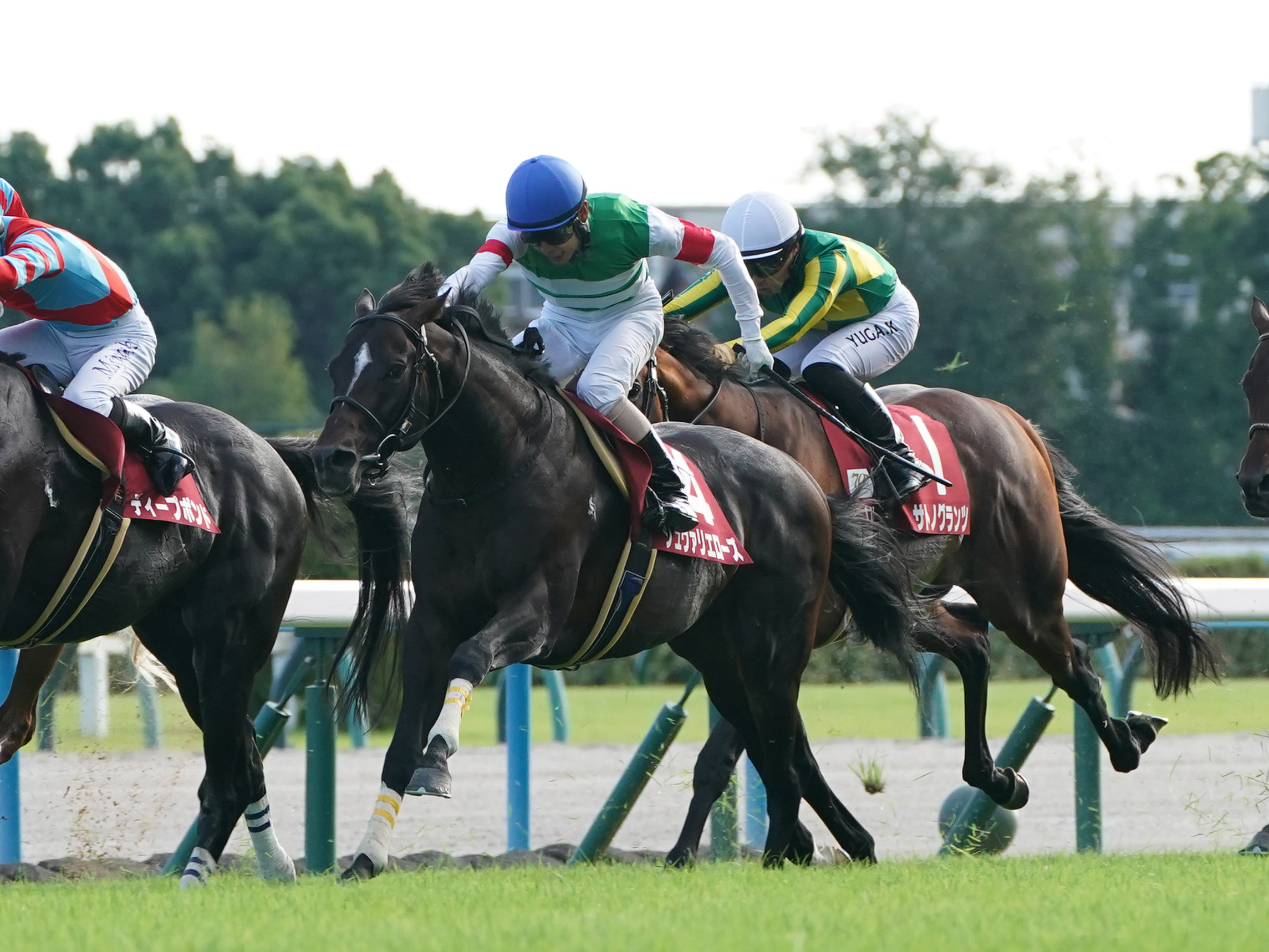 京都大賞典⑭番アイアンバローズ応援馬券 京都大賞典】シュヴァリエローズが重賞初制覇 ブローザホーンは