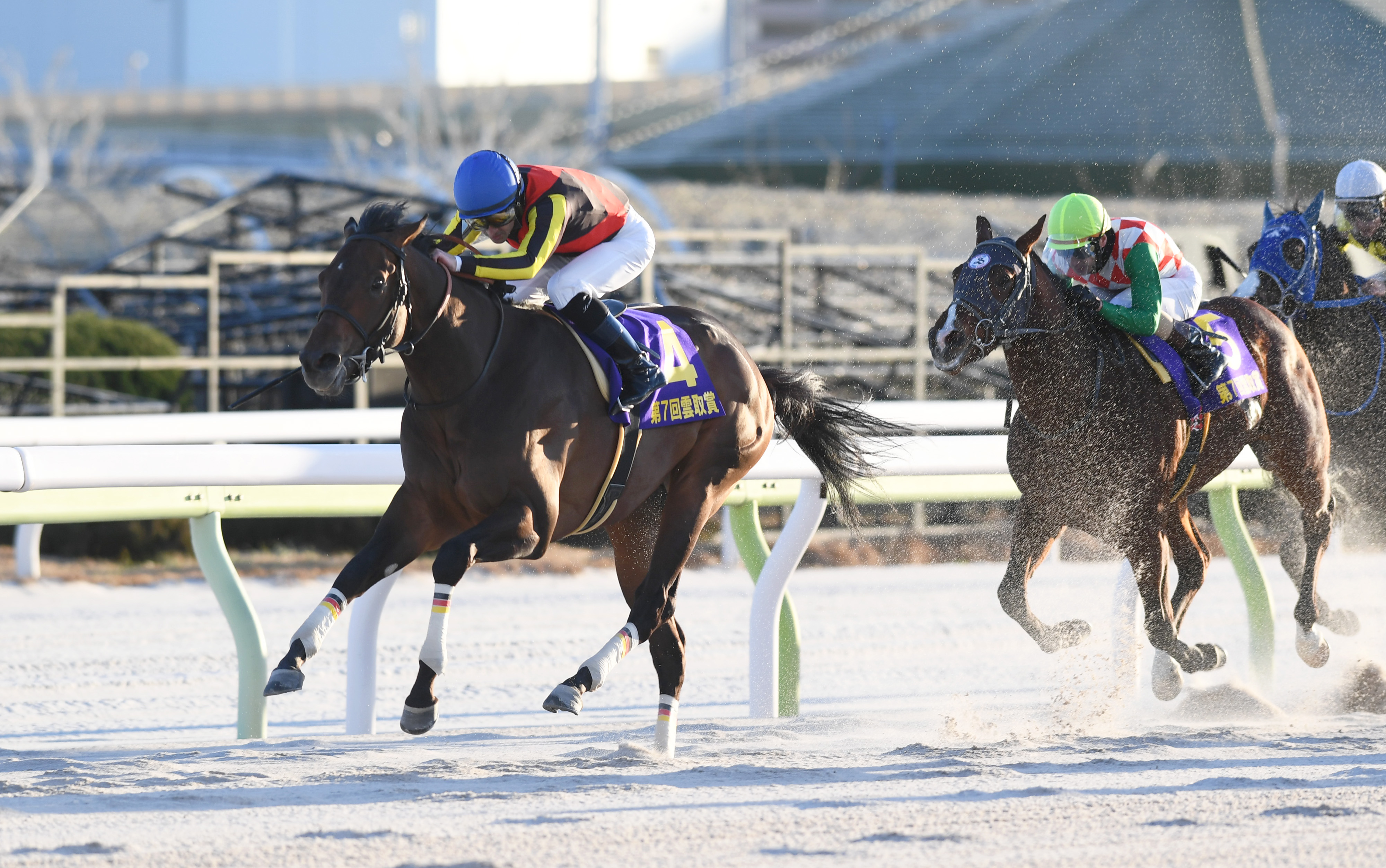 レパードS 枠順確定】4戦3勝のジャナドリアは4枠6番、ダート初挑戦の