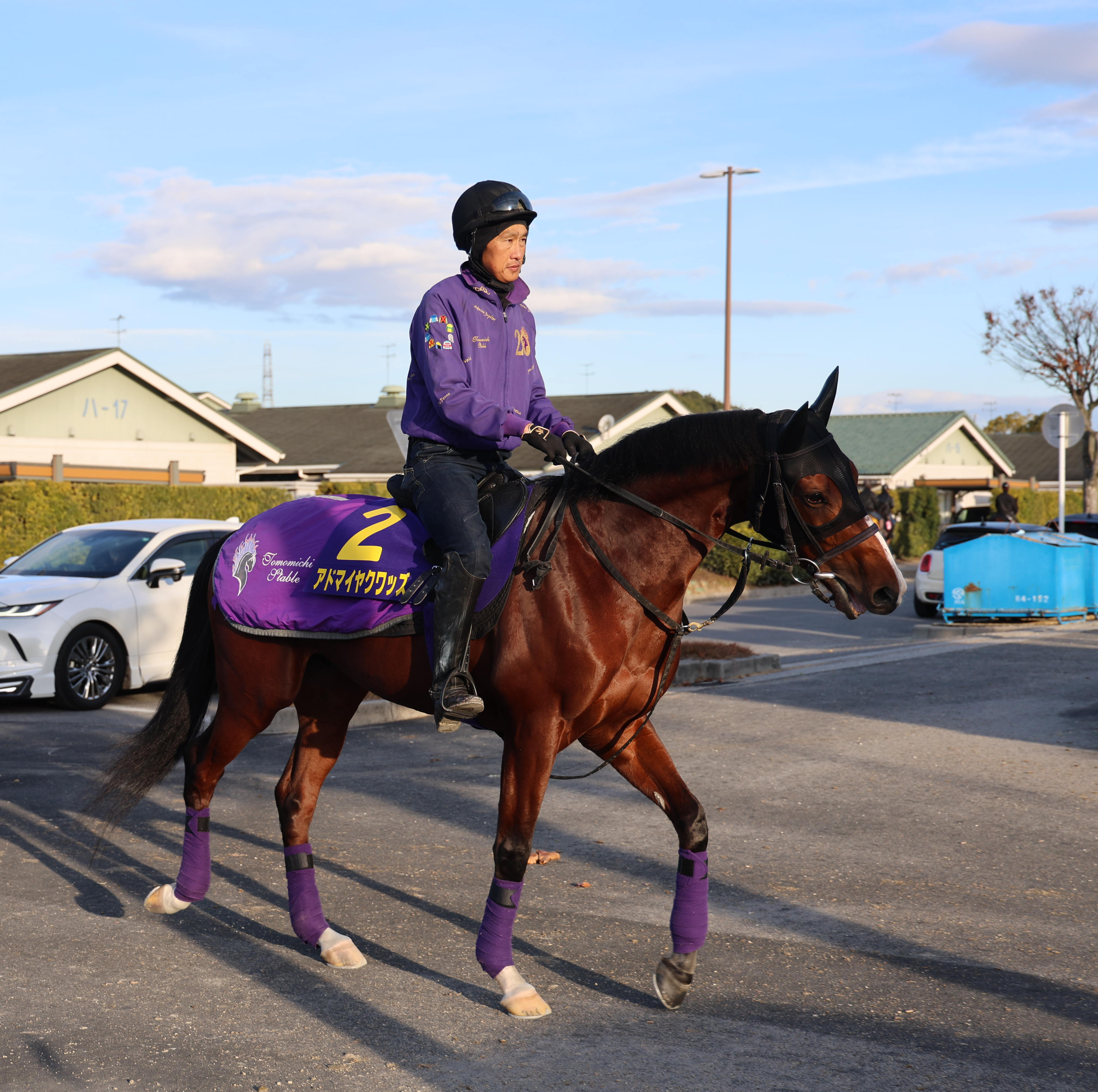 朝日杯FS GⅠ予想ドキュメント ◎への道】アドマイヤクワッズ完成度で