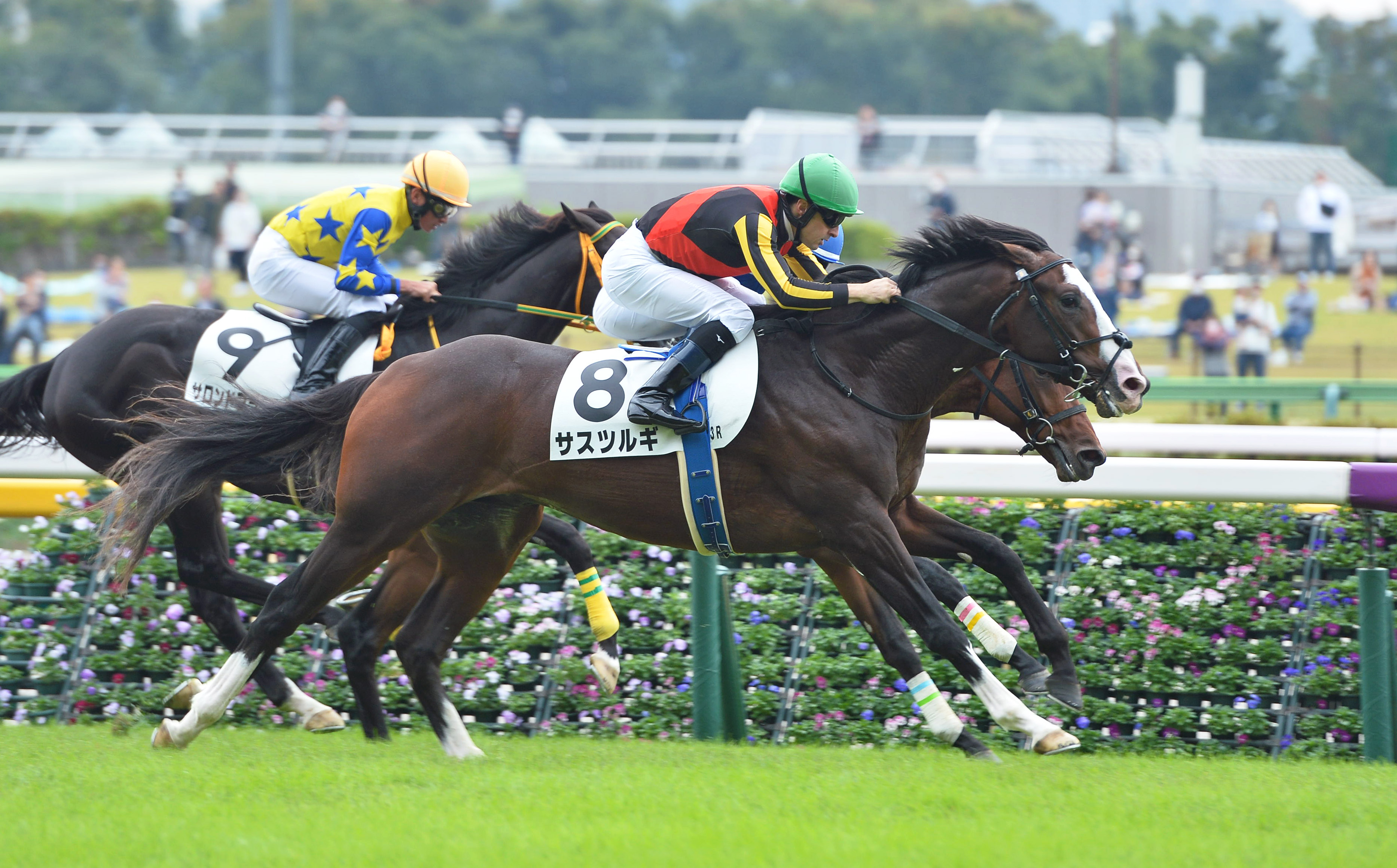 タワーオブロンドンの半弟サスツルギが２戦目で初勝利 サンスポzbat