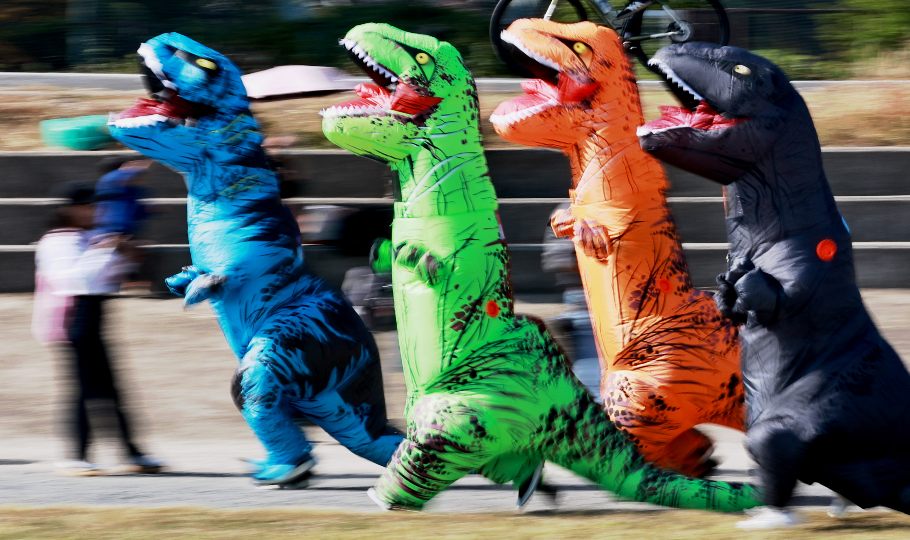 動画】秋の古都をティラノサウルスが疾走 京都・嵐山でイベント開催