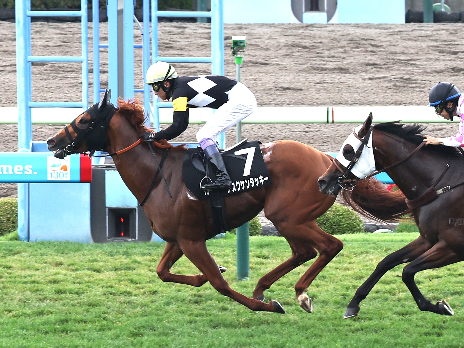 武豊騎手が国内外通算5000勝達成まで〝マジック1〟！ 函館10Rで鮮やか