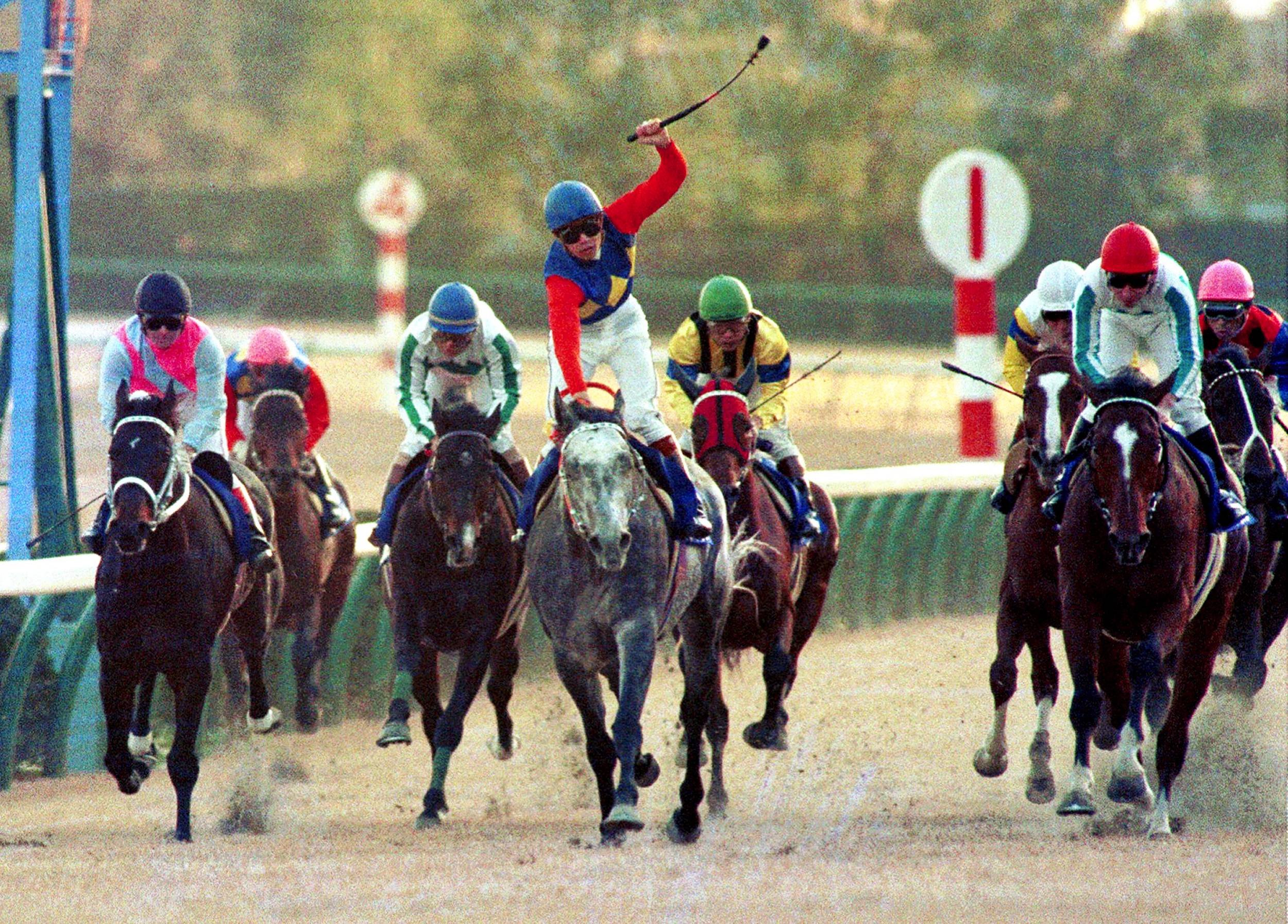 オグリキャップの血をつなぐ挑戦 ひ孫フォルキャップが種牡馬