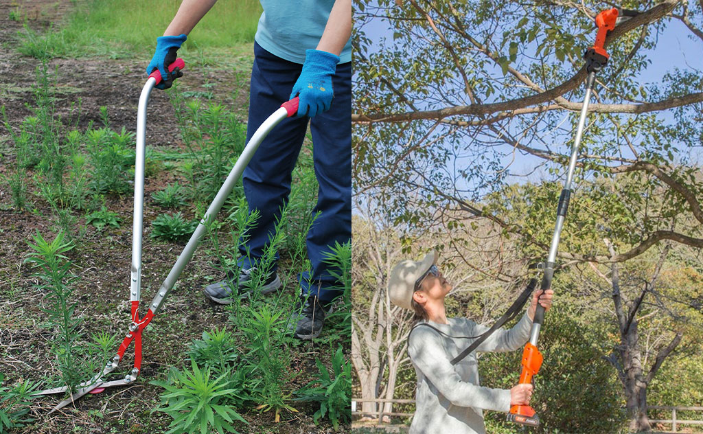 雑草 NVLY47PSPZCSXCYI5VHQTNJOYE.jpg