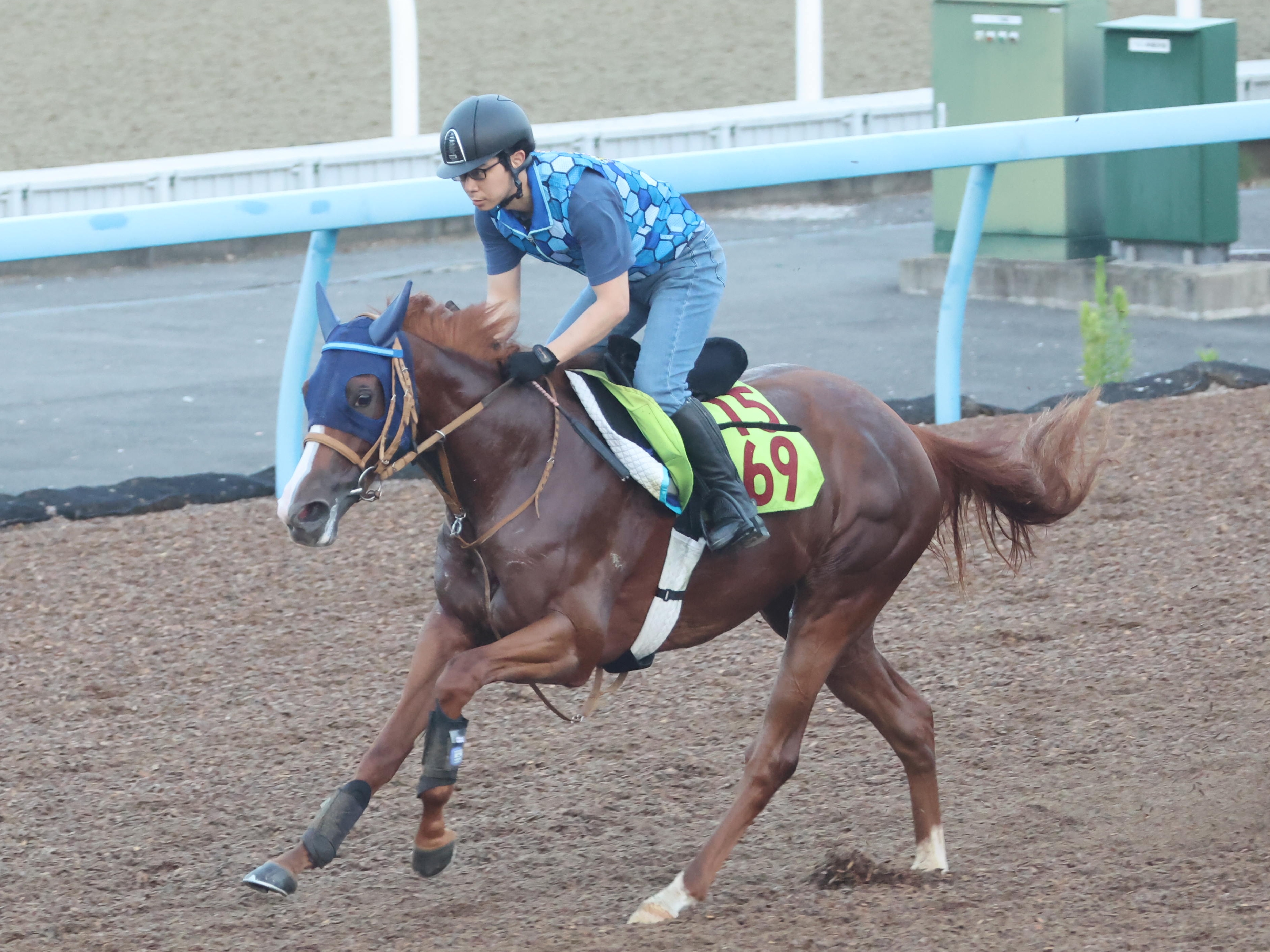 名古屋章　馬　5号 今日の注目新馬】瞬発力光るシルクドマルス 郷原助手「一生懸命に走る