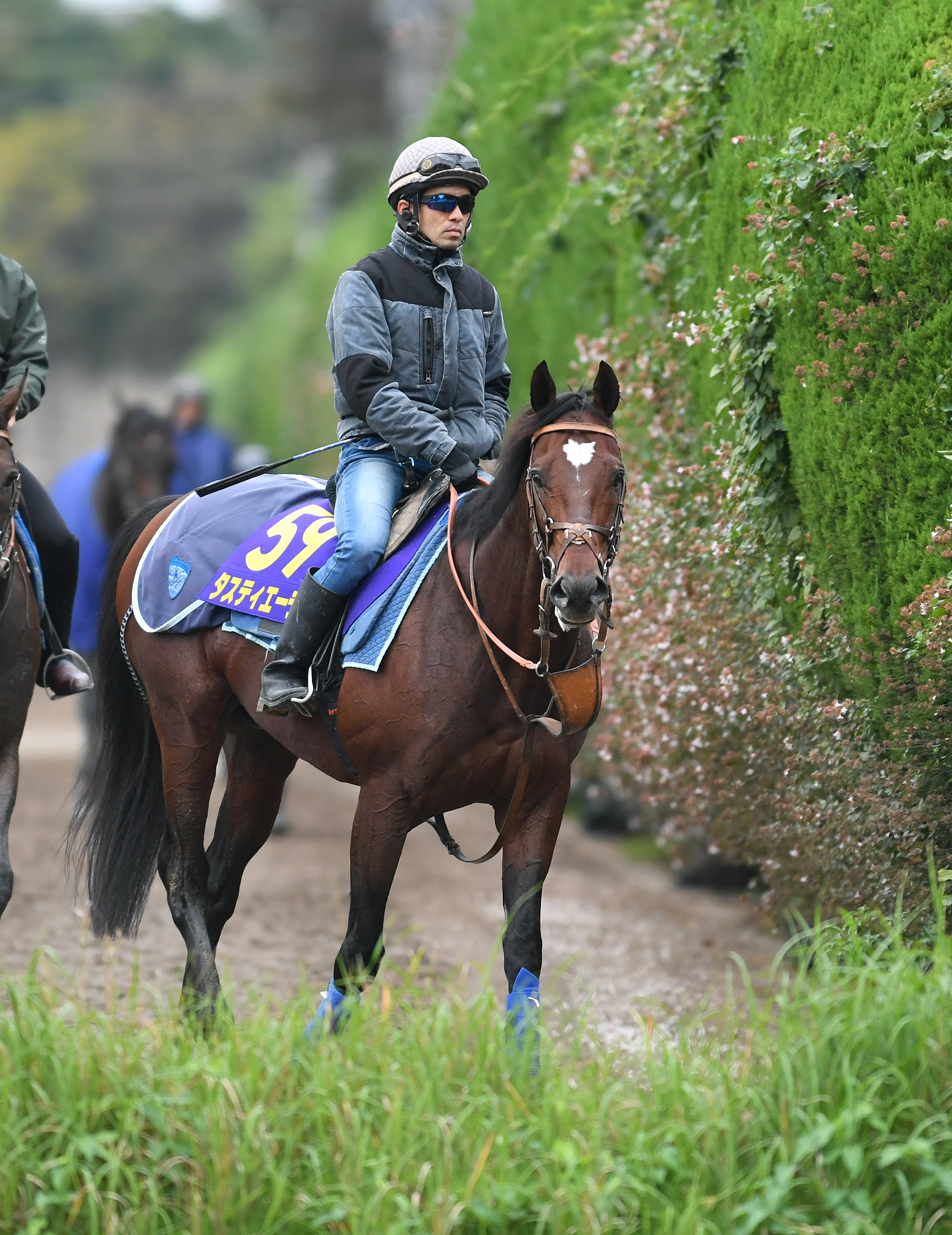 天皇賞・秋 白井寿昭のGⅠ見どころ解説】逃げ切りの難しい東京芝2000