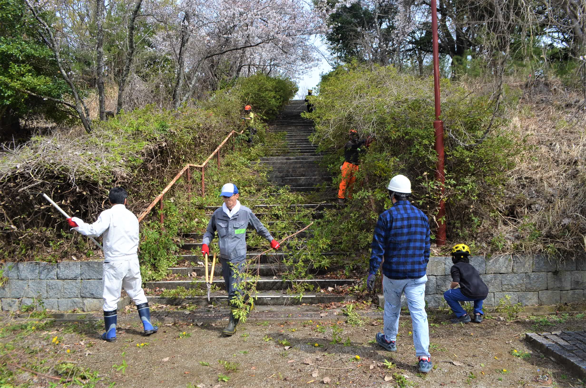 荒れ果てた都市公園を半年でマウンテンバイク拠点に再生 愛好家ら協力