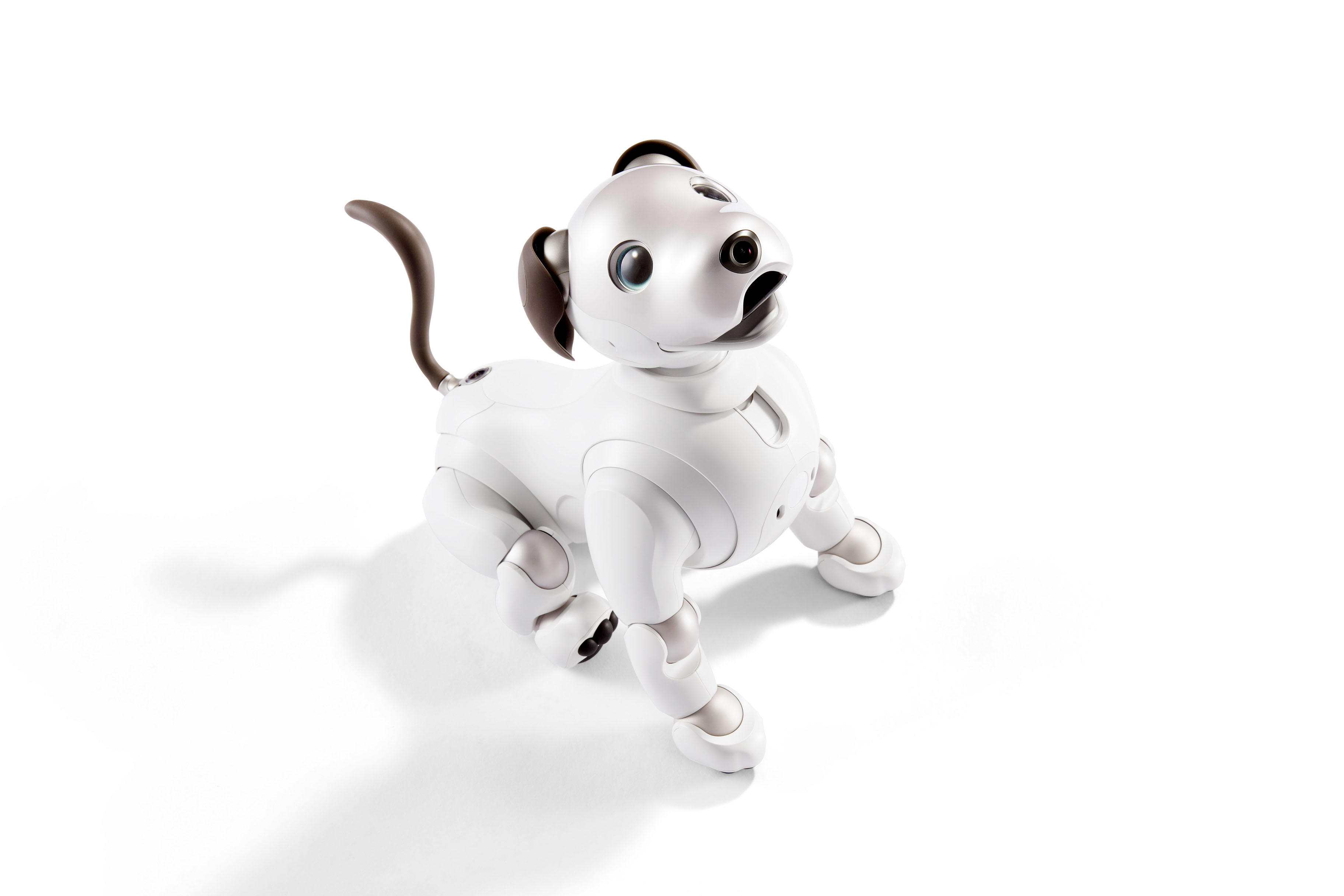 ソニー、アイボの国内販売を在庫分で終了 ペットロボット、関連