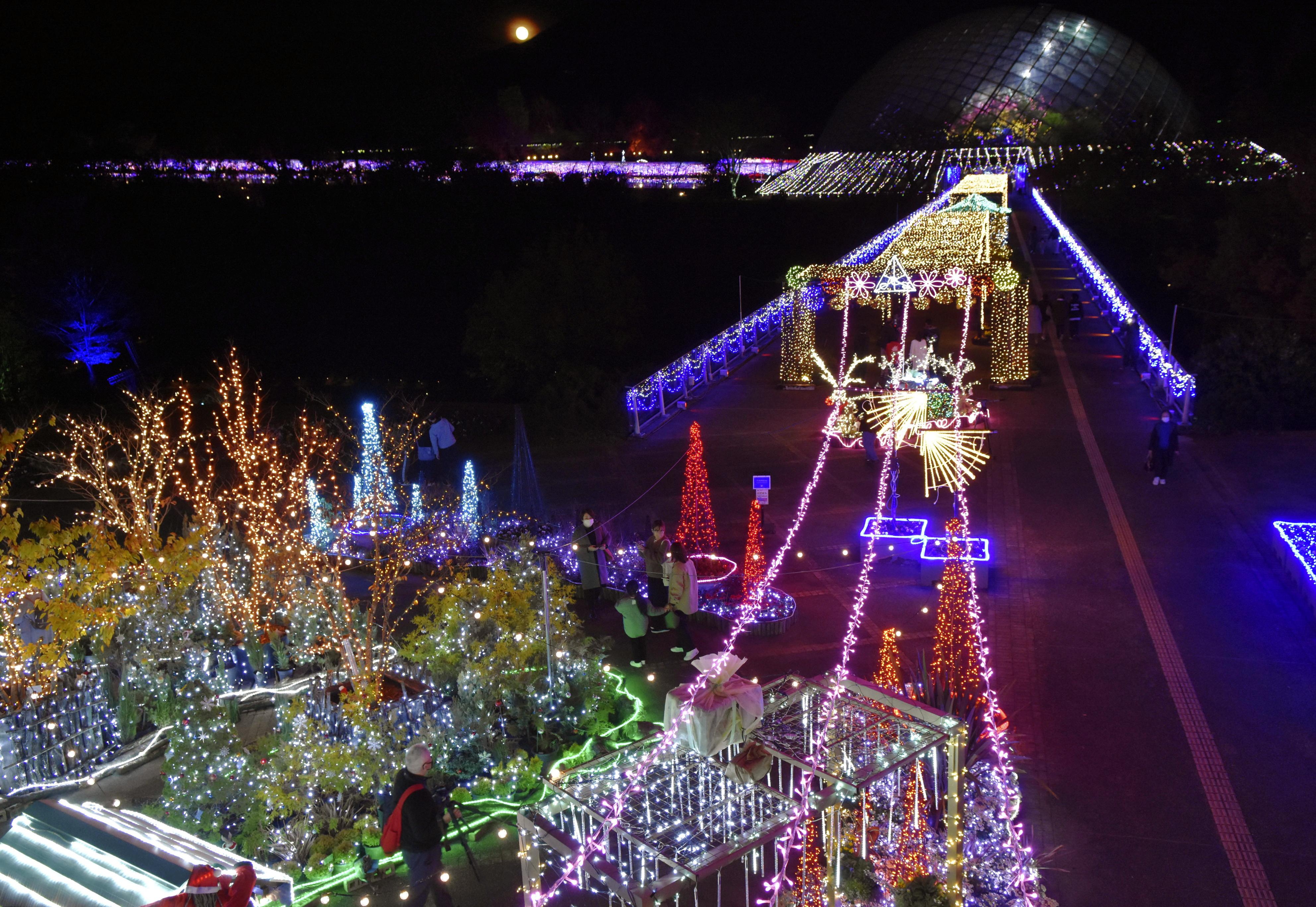 フォト】100万球の光と花が共演 とっとり花回廊、11日から - 産経