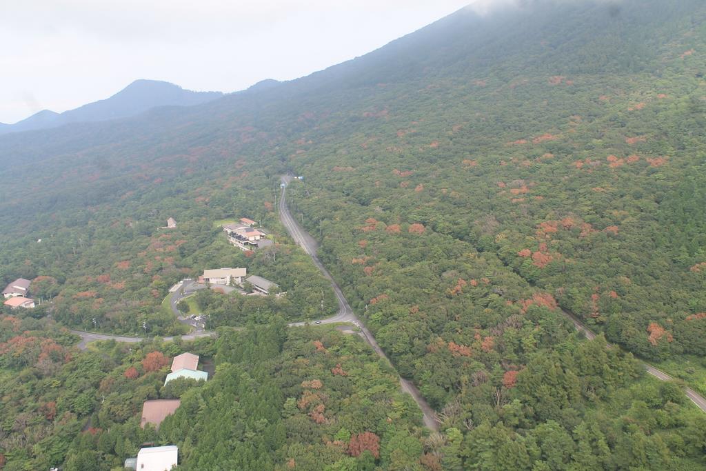 沈静化傾向のナラ枯れ 鳥取 大山で深刻化のナゾ 1 2ページ 産経ニュース