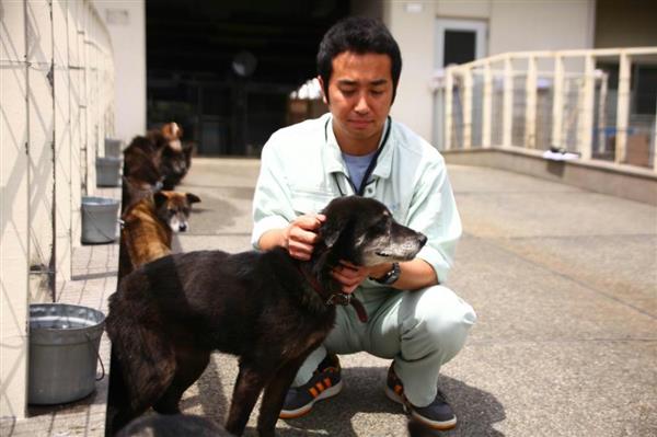 熊本地震の迷い犬７割 飼い主の元に 熊本市啓発と 犬好き 県民性 産経ニュース