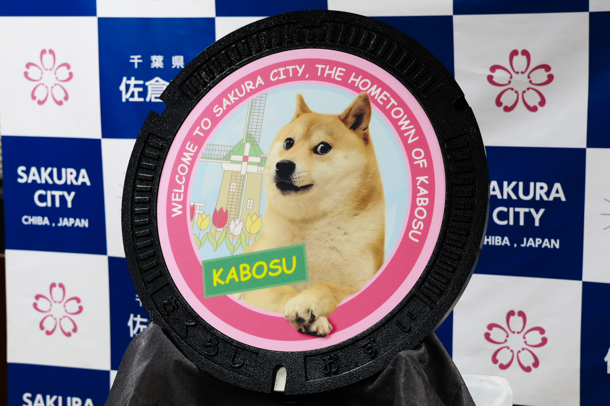 かわいすぎて踏めない！世界一有名な柴犬「かぼすちゃん」マンホール蓋のデザインに 千葉県佐倉市 - イザ！