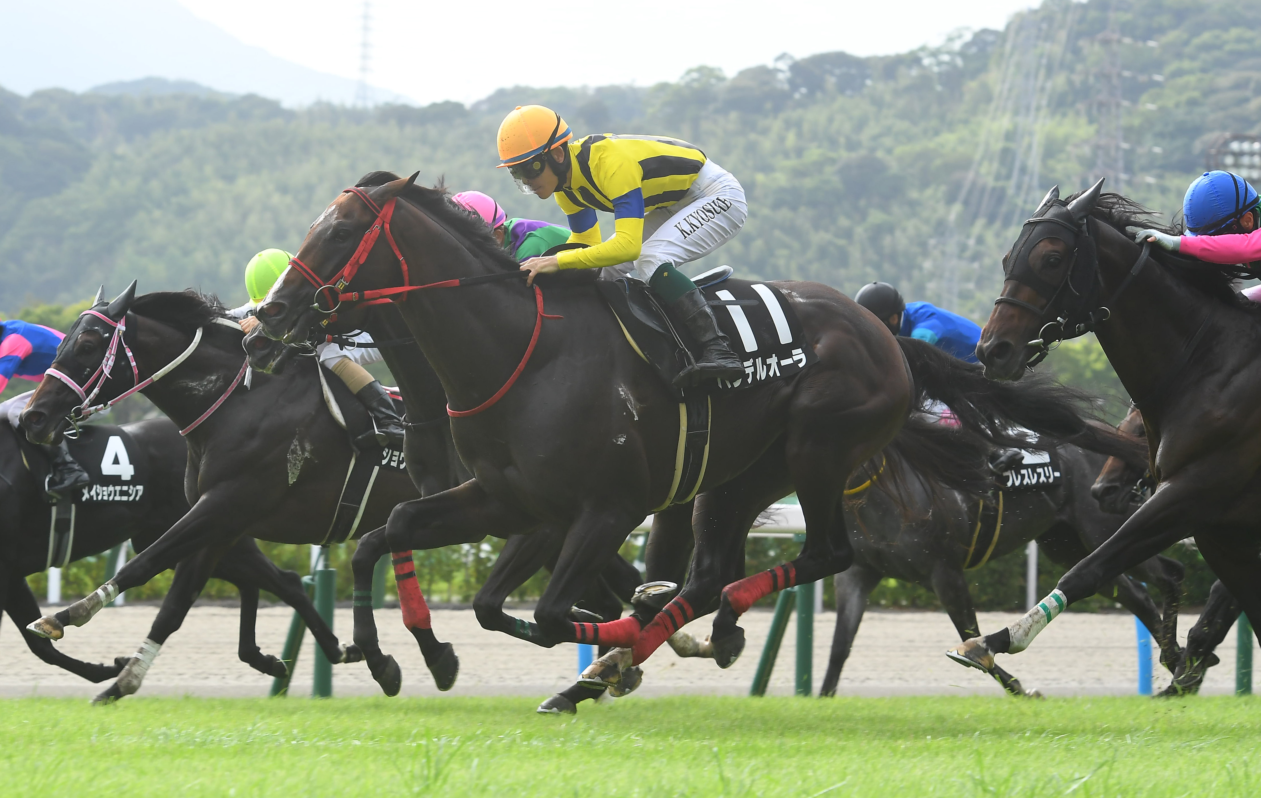 【テレＱ杯】伏兵バンデルオーラが豪快な追い込みを決めて ...