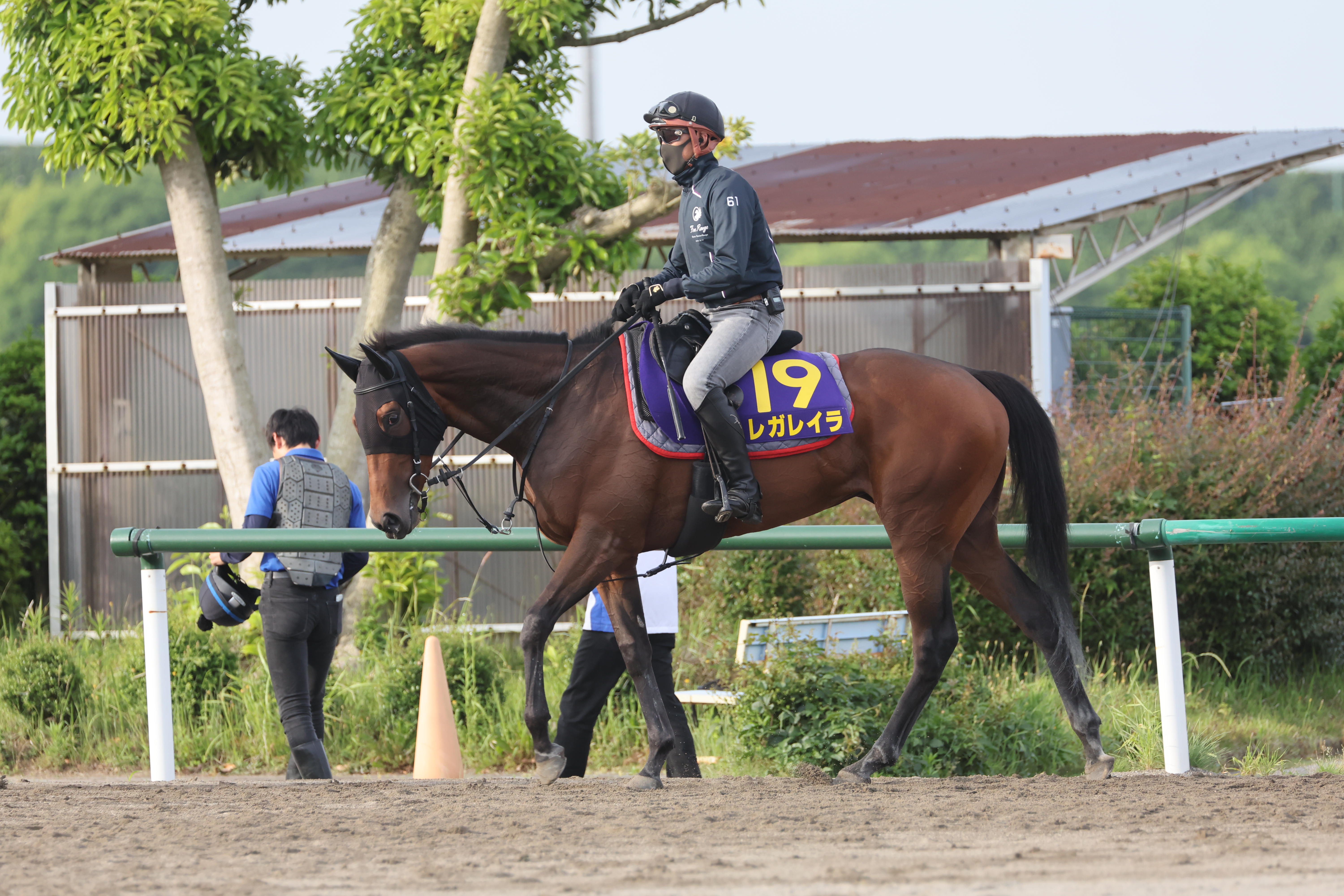 ※絶版　競馬DVD　岡部幸雄（馬と歩んだ日々）騎手 割引価格 割引価格 絶版 岡部幸雄（馬と歩んだ日々）騎手 競馬