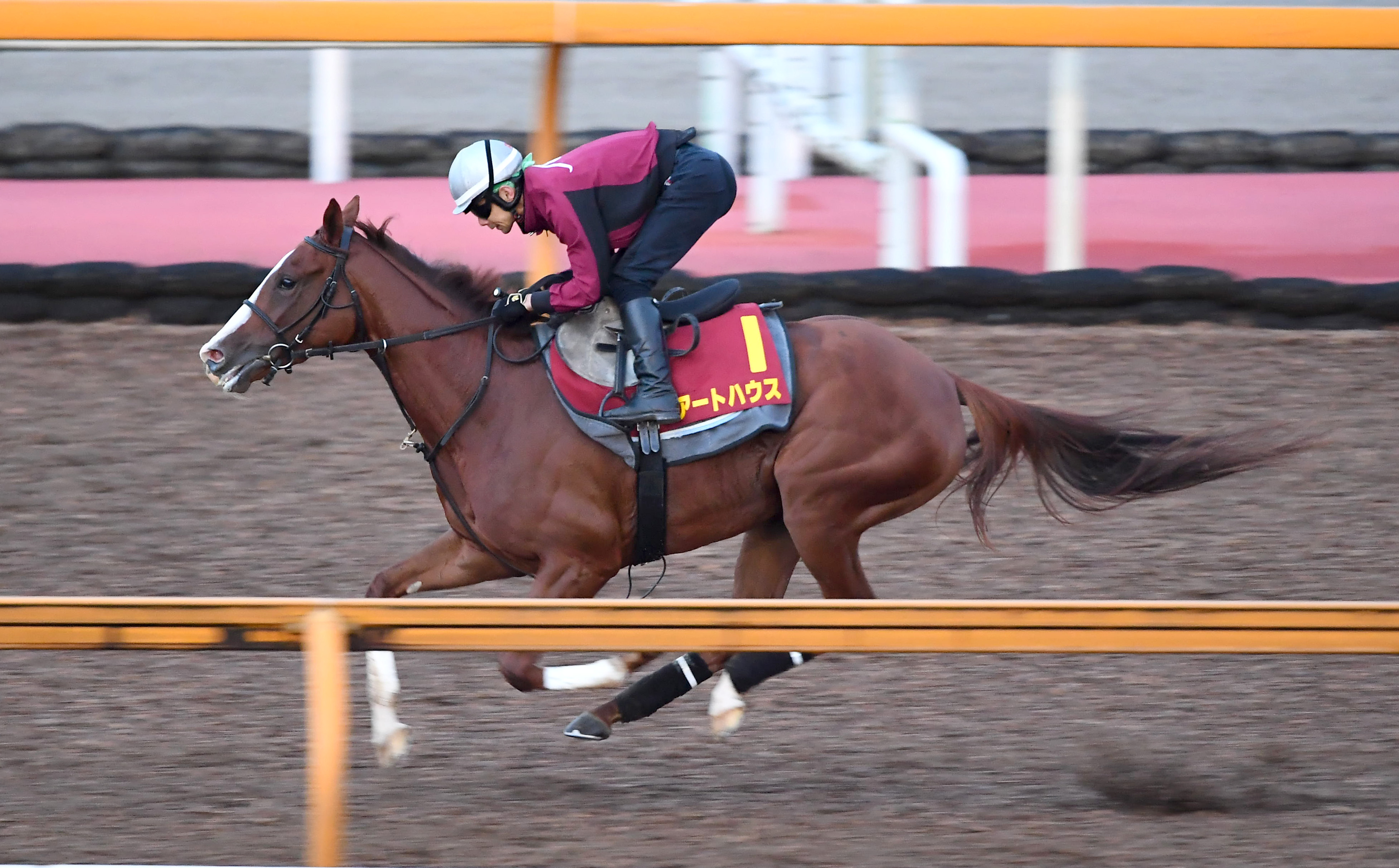 秋華賞 俺のチェックポイント アートハウス 力み改善ラスト１１秒８ サンスポzbat