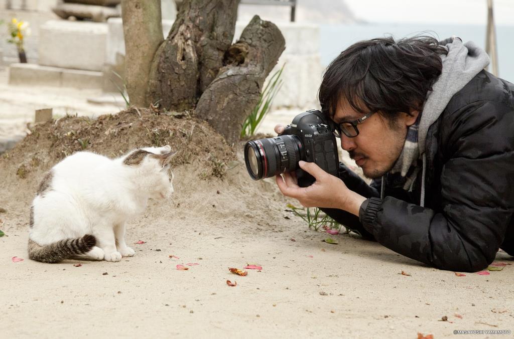 猫 カメラ 嫌い トップ