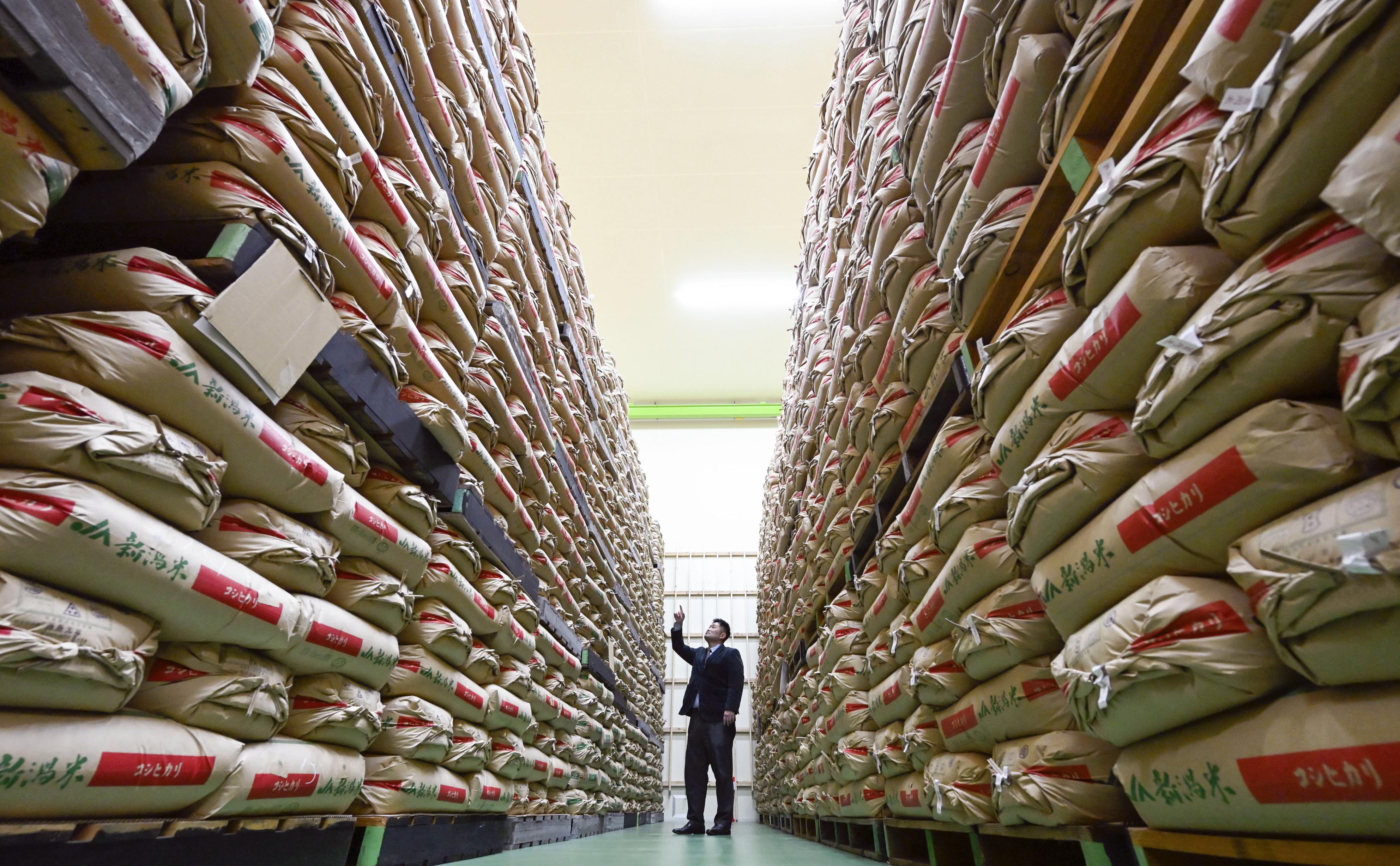 政府、備蓄米の入札参加条件緩和を検討 1年以内の買戻し見直し 流通