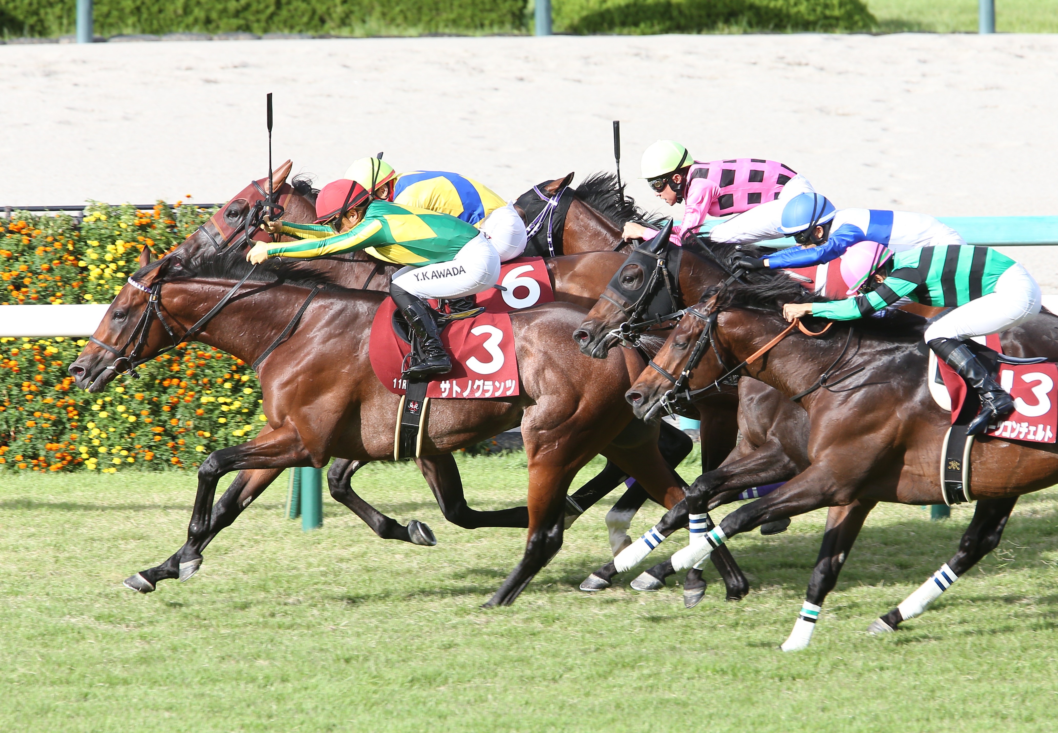 【神戸新聞杯】レースを終えて…関係者談話