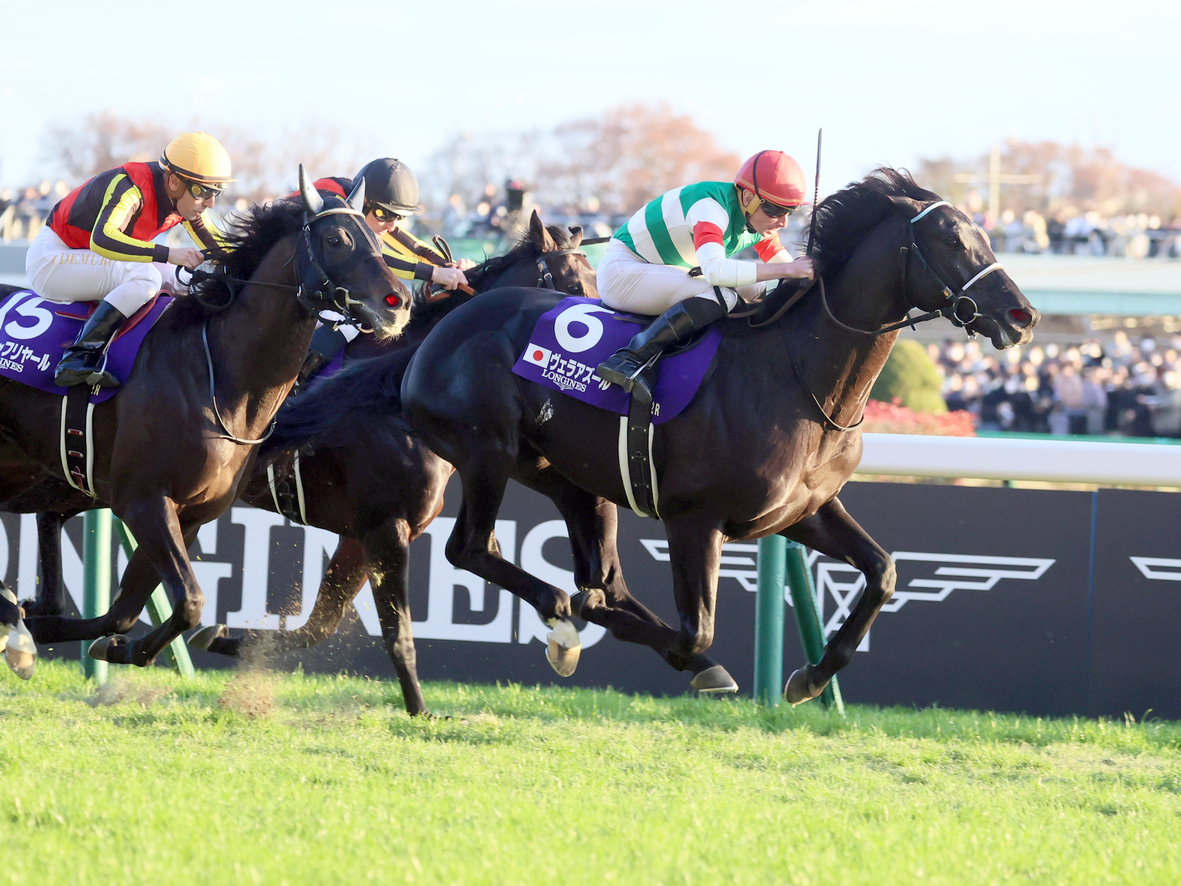 競馬　ヴェラアズール　アイドルホース　優勝レイ　馬着 競馬 ヴェラアズール アイドルホース 優勝レイ 馬着