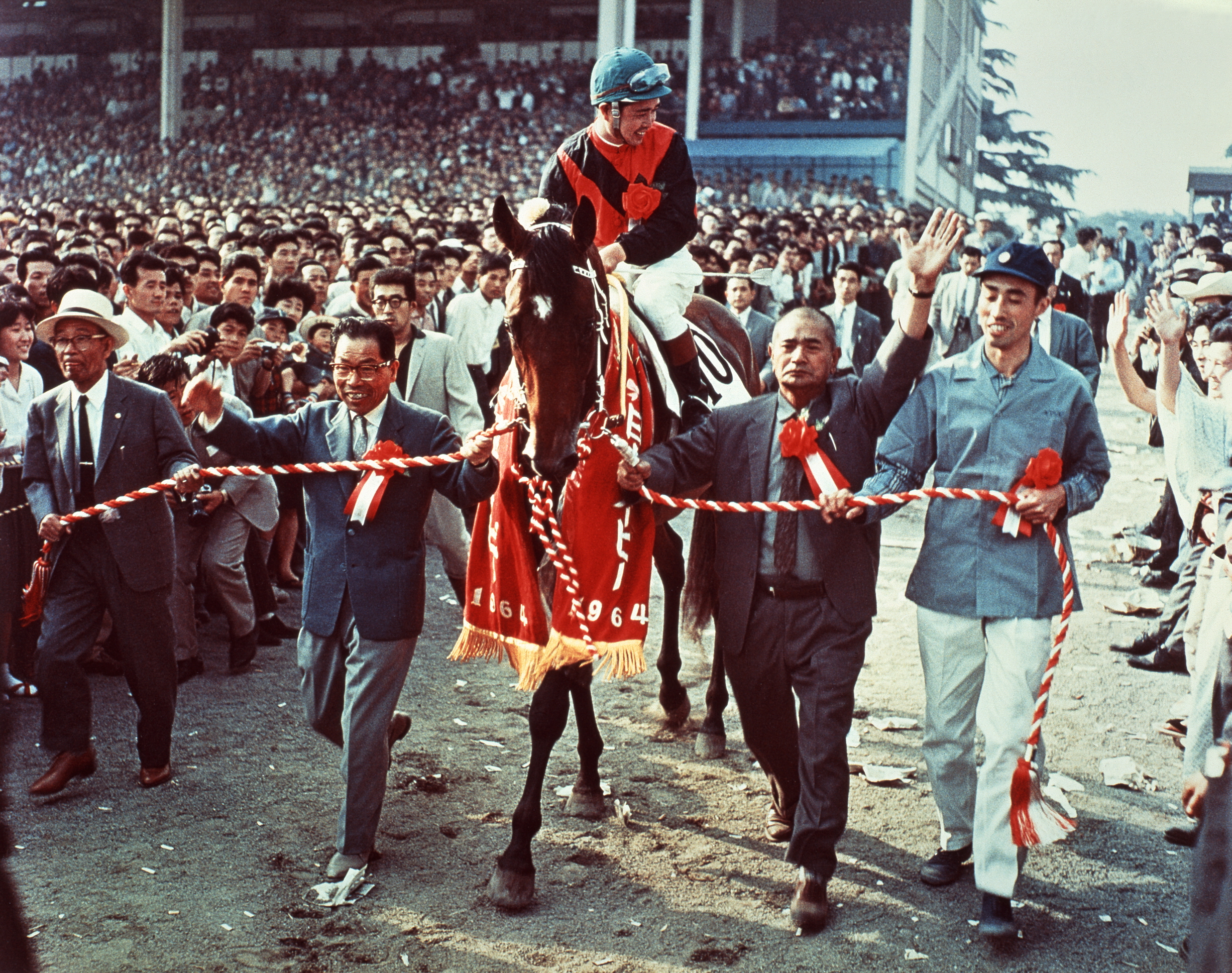 【中古】 競馬進化論/双葉社/井崎脩五郎 井崎脩五郎さんは一切責任を負わないなんて言わない｜ゲーム
