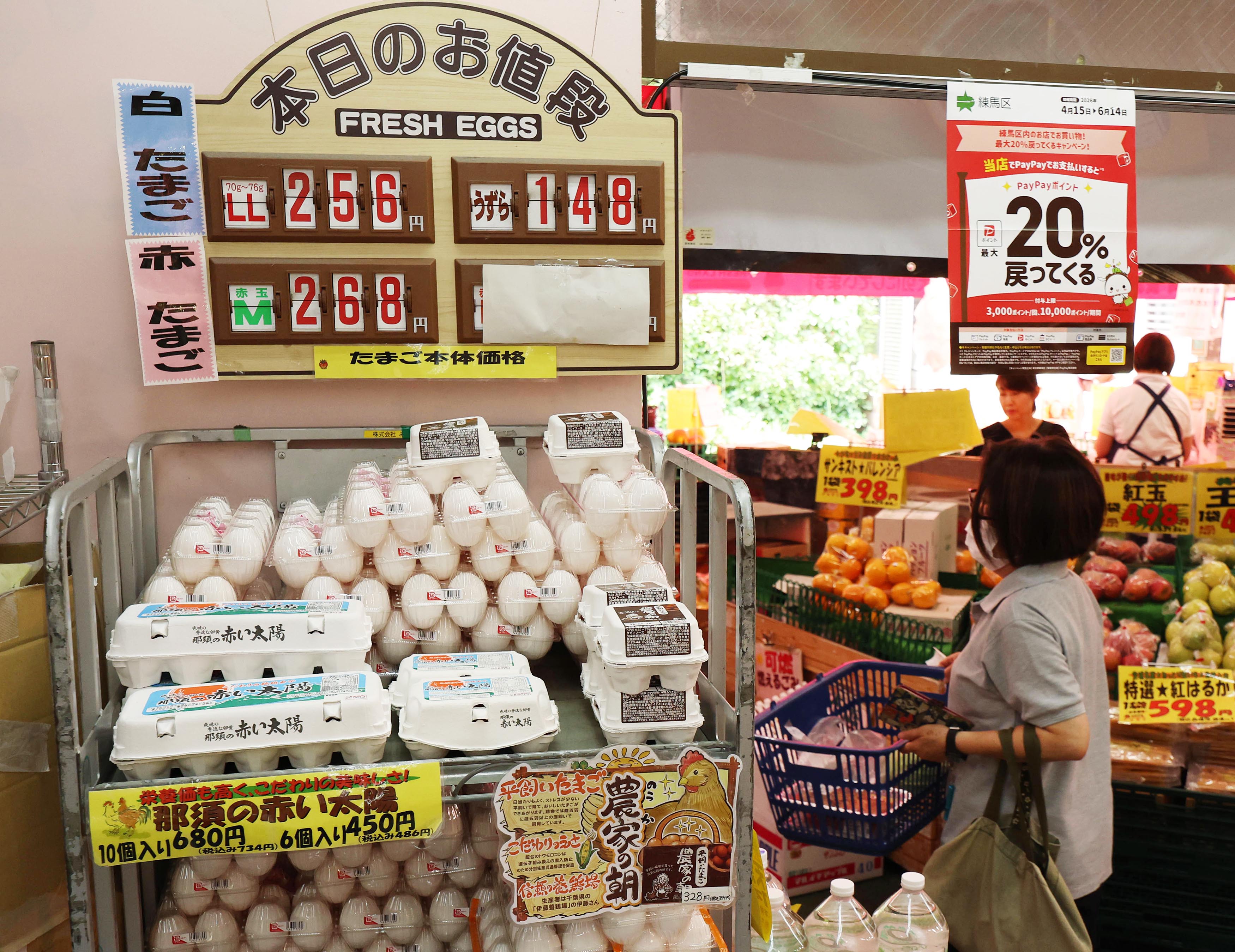 平価変更の理論と歴史 : 段階的小幅円切り上げ案 値上げラッシュに消費者悲鳴 1日に1000、7月も2000品目…業者も対応に追