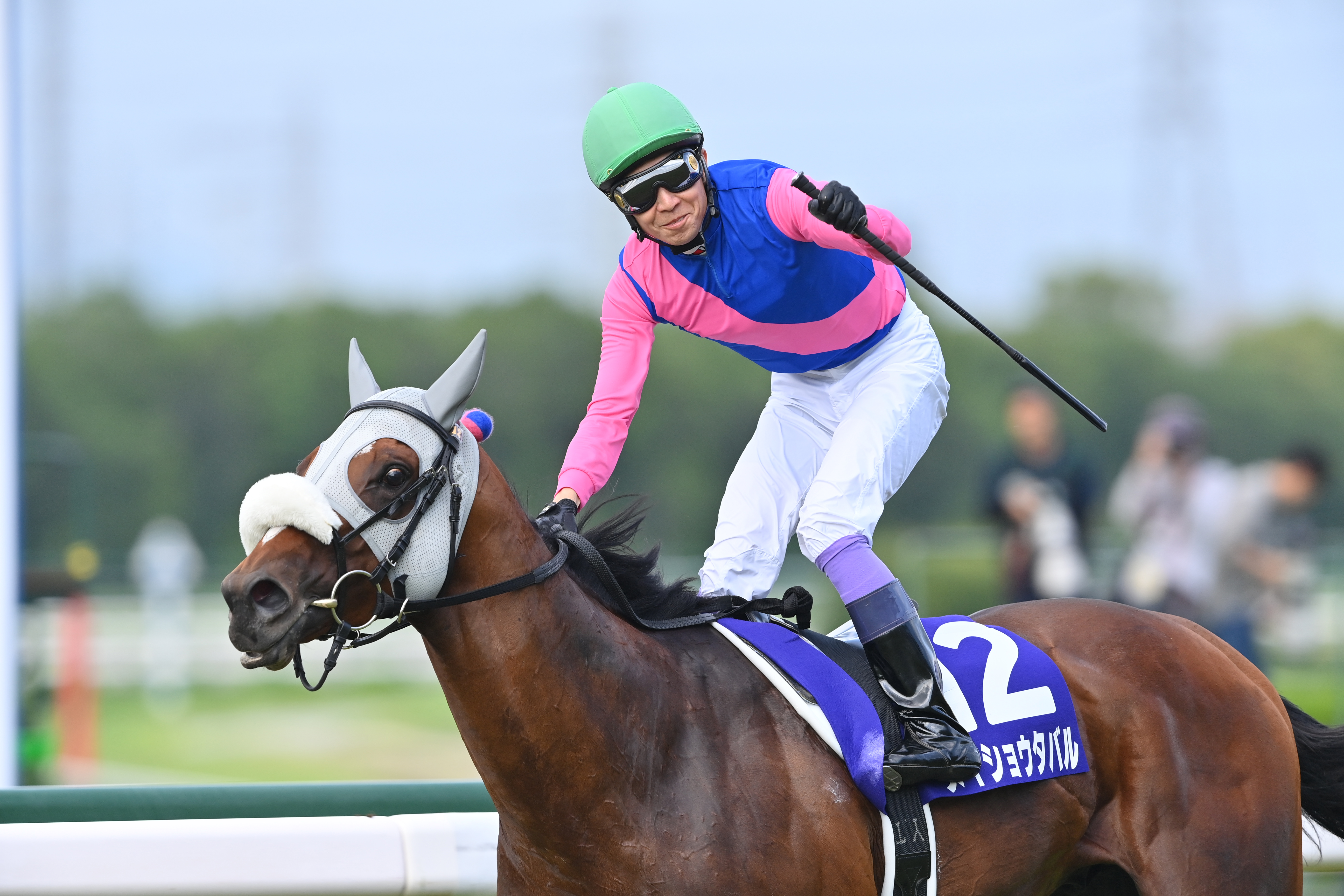 宝塚記念でGⅠ初制覇を飾ったメイショウタバルは天皇賞・秋を