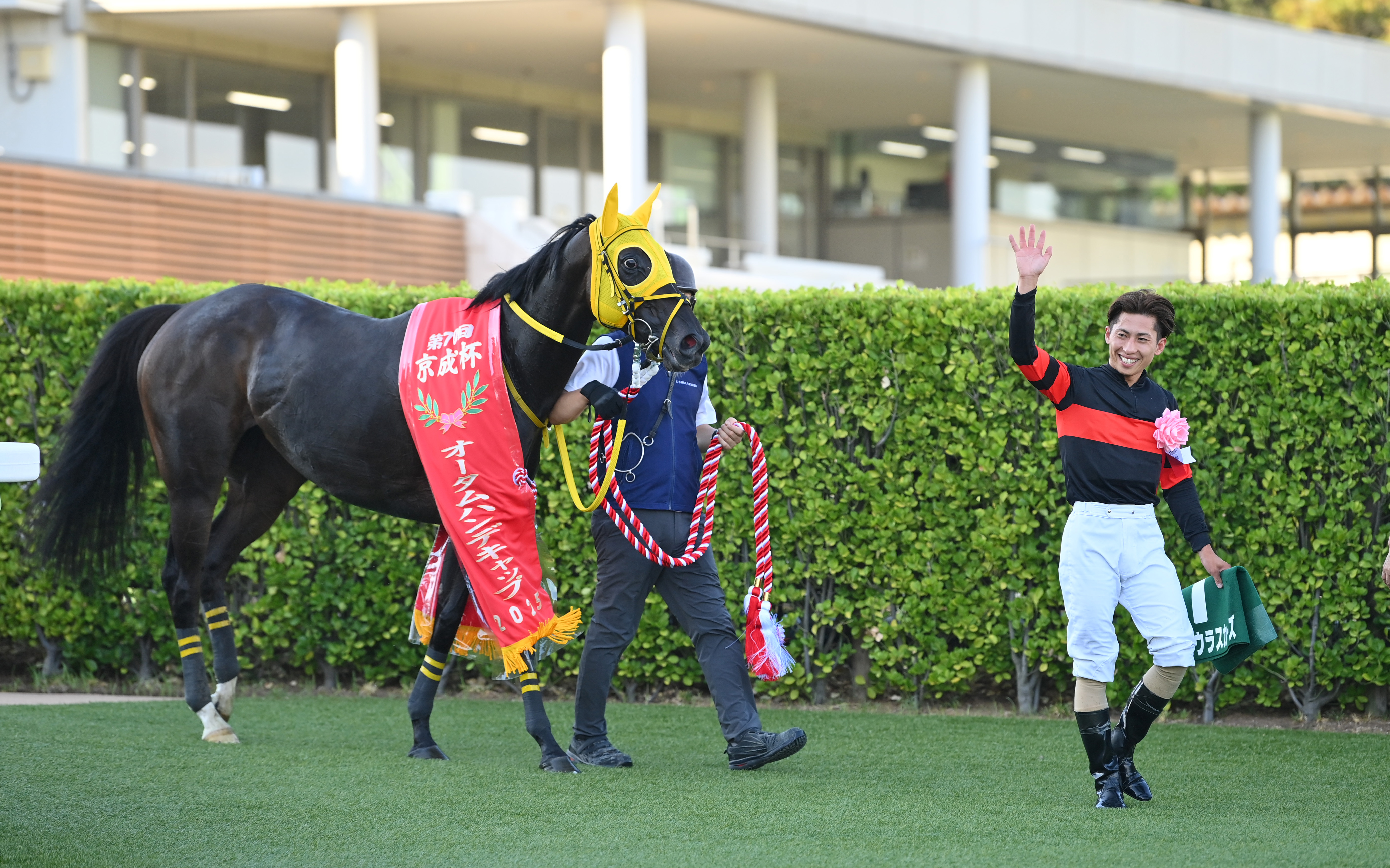 アイルランドT】今週も〝7歳のディープインパクト産駒〟に注目