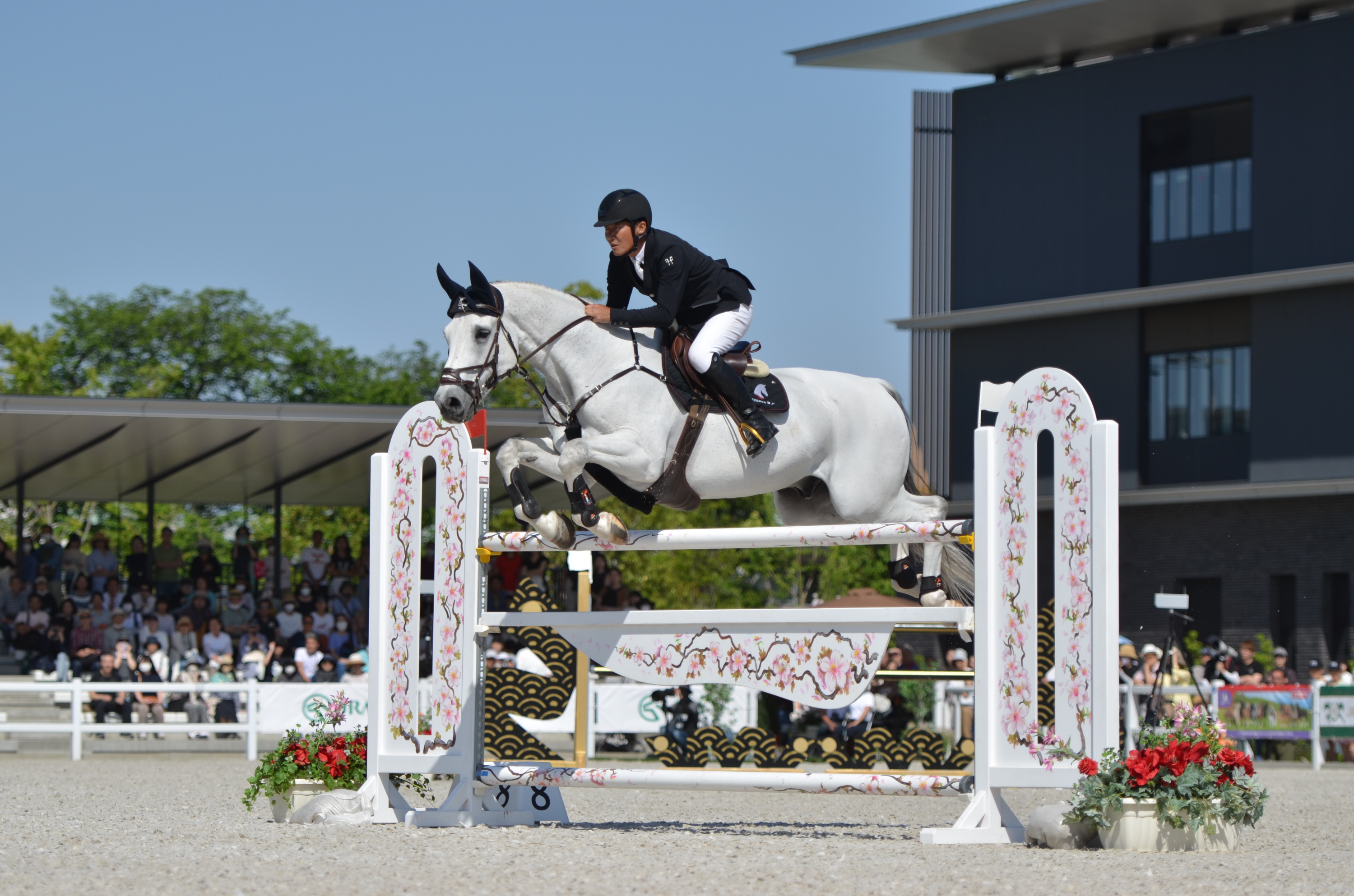 みんなで馬術を見に行こう！ 五輪実施種目のルール＆魅力を紹介 - サンスポ