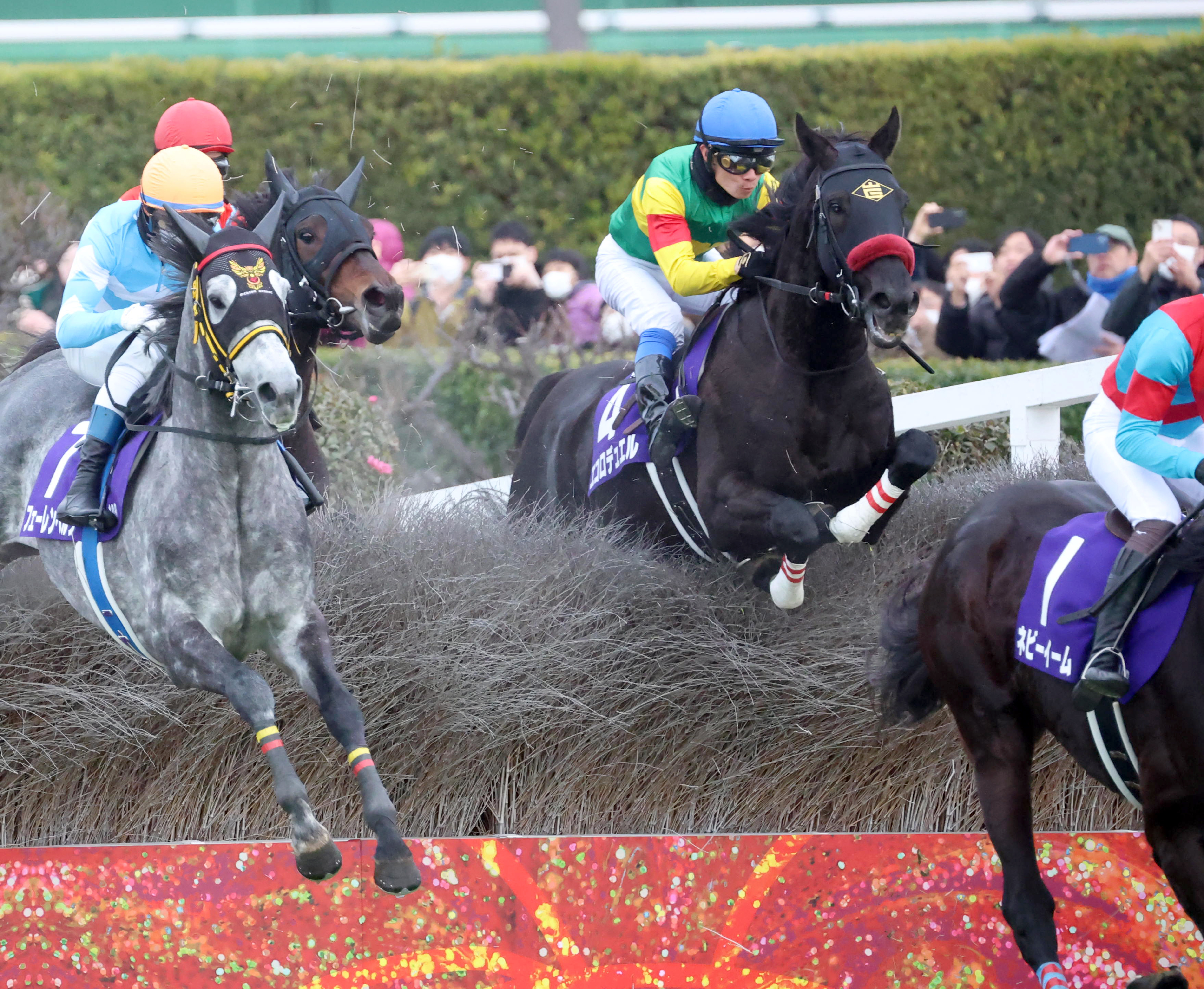 中山大障害】エコロデュエル同一年春秋J・GⅠ制覇 草野太郎騎手「強い