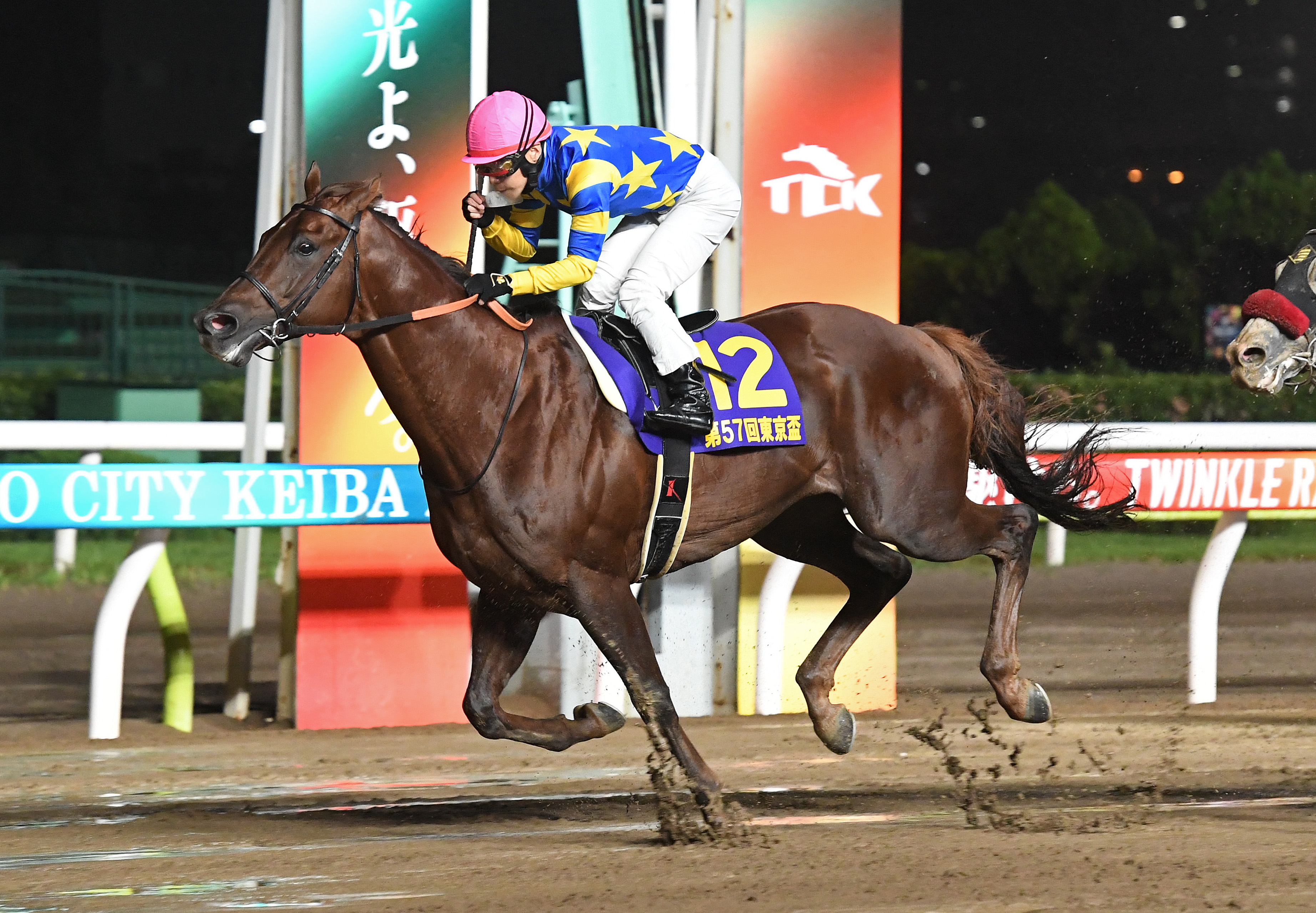 【東京盃】ドンフランキーが押し切りレコードタイムで快勝！池添 ...