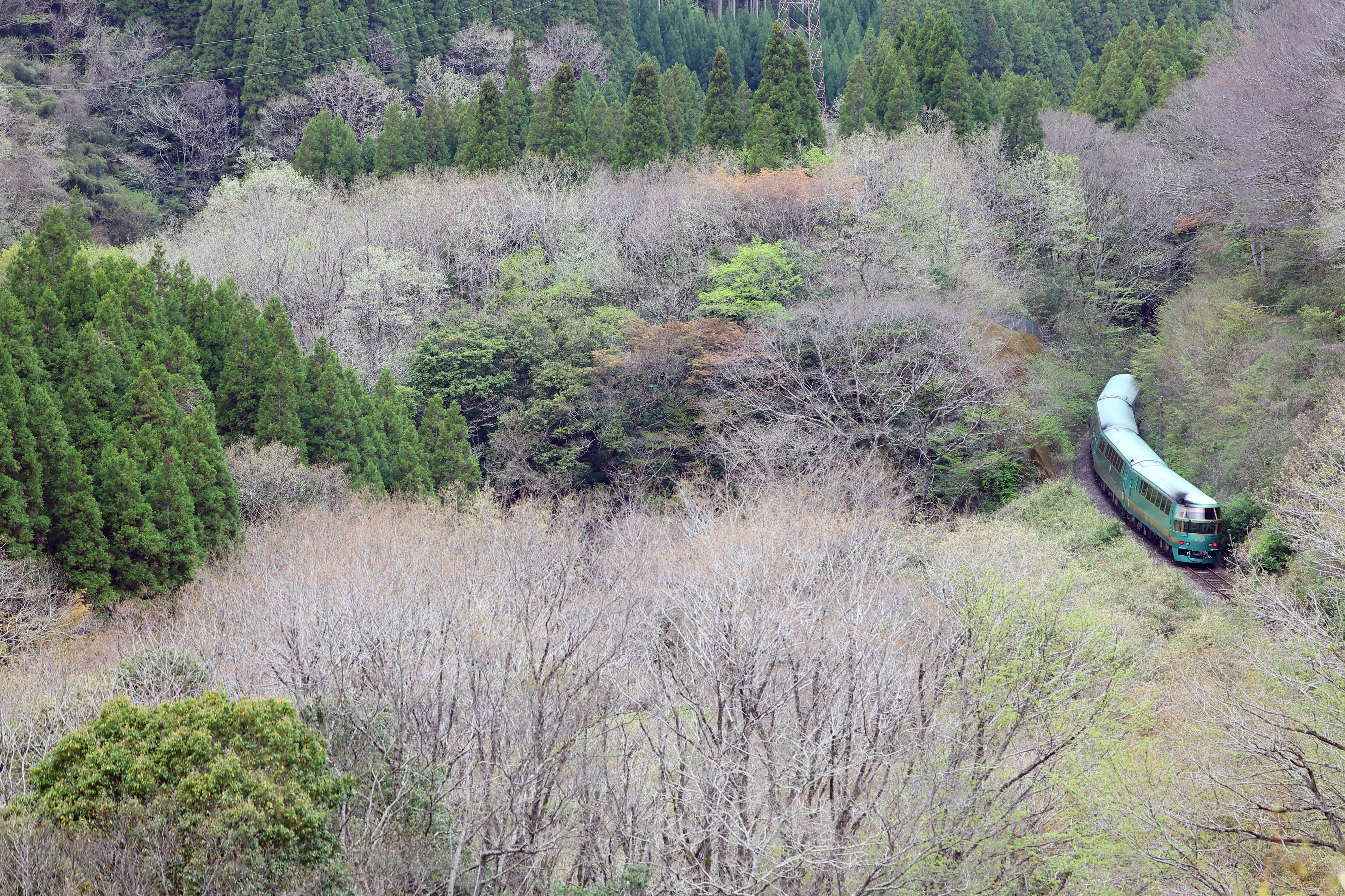 ゆふいんの森 鉄道プレート マート