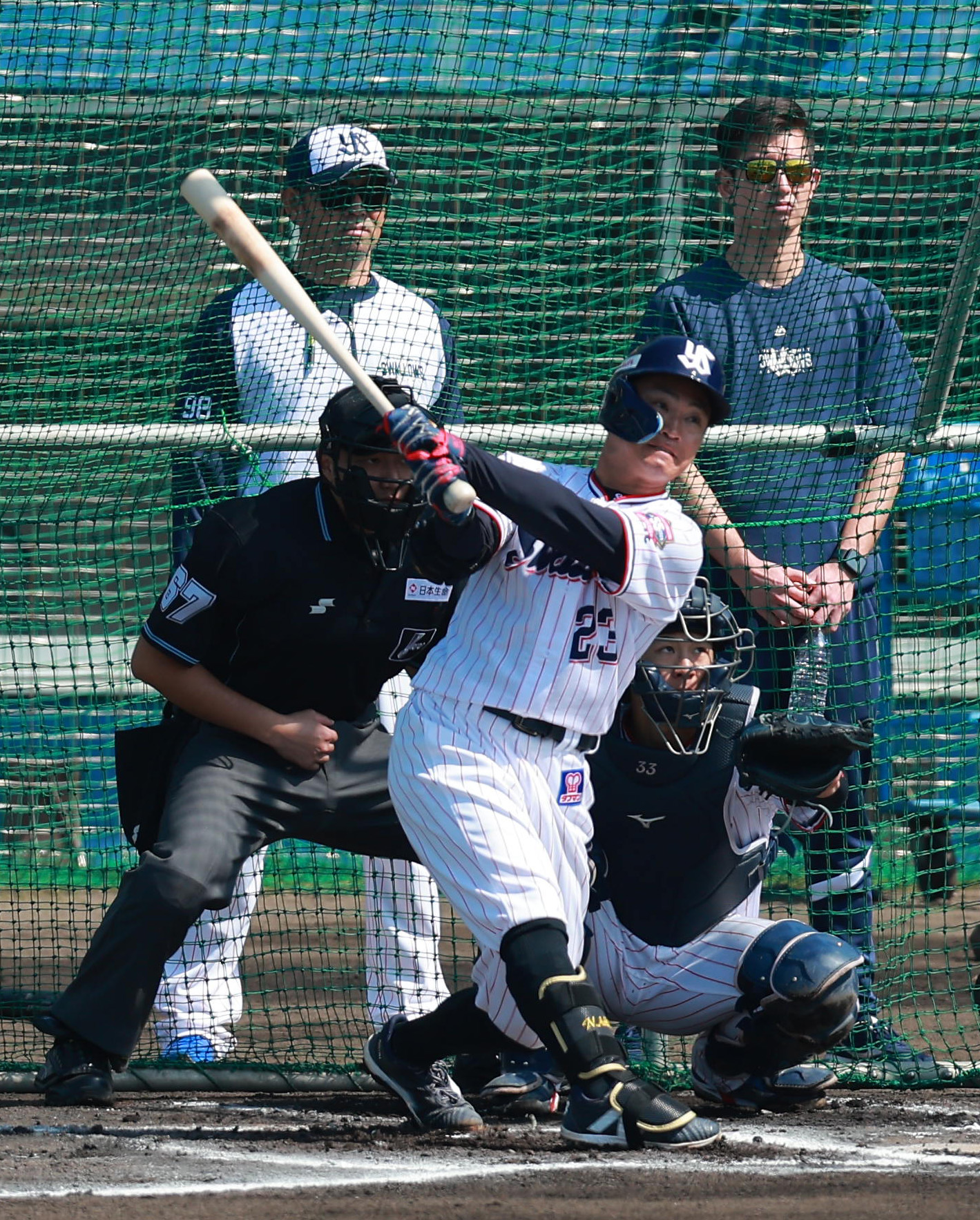 ヤクルト・青木宣親が〝石川バット〟で打撃練習！ 石川雅規は「３