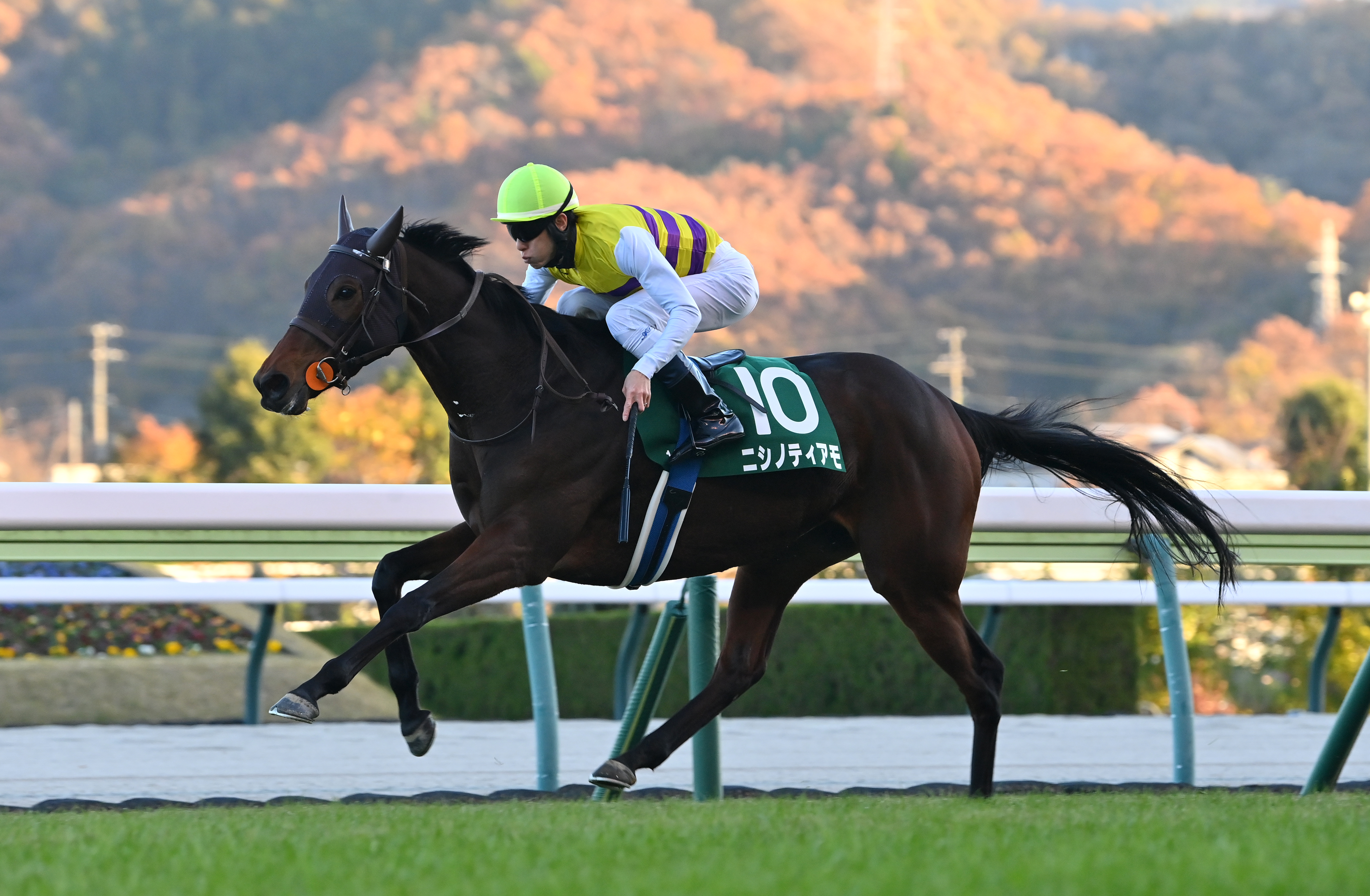 福島記念】ニシノティアモが2番手から楽々抜け出す！破竹の4連勝で重賞