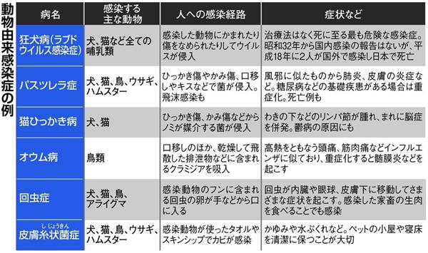 動物からの感染症 人ではないこと を意識して節度ある触れ合い必要 1 3ページ 産経ニュース