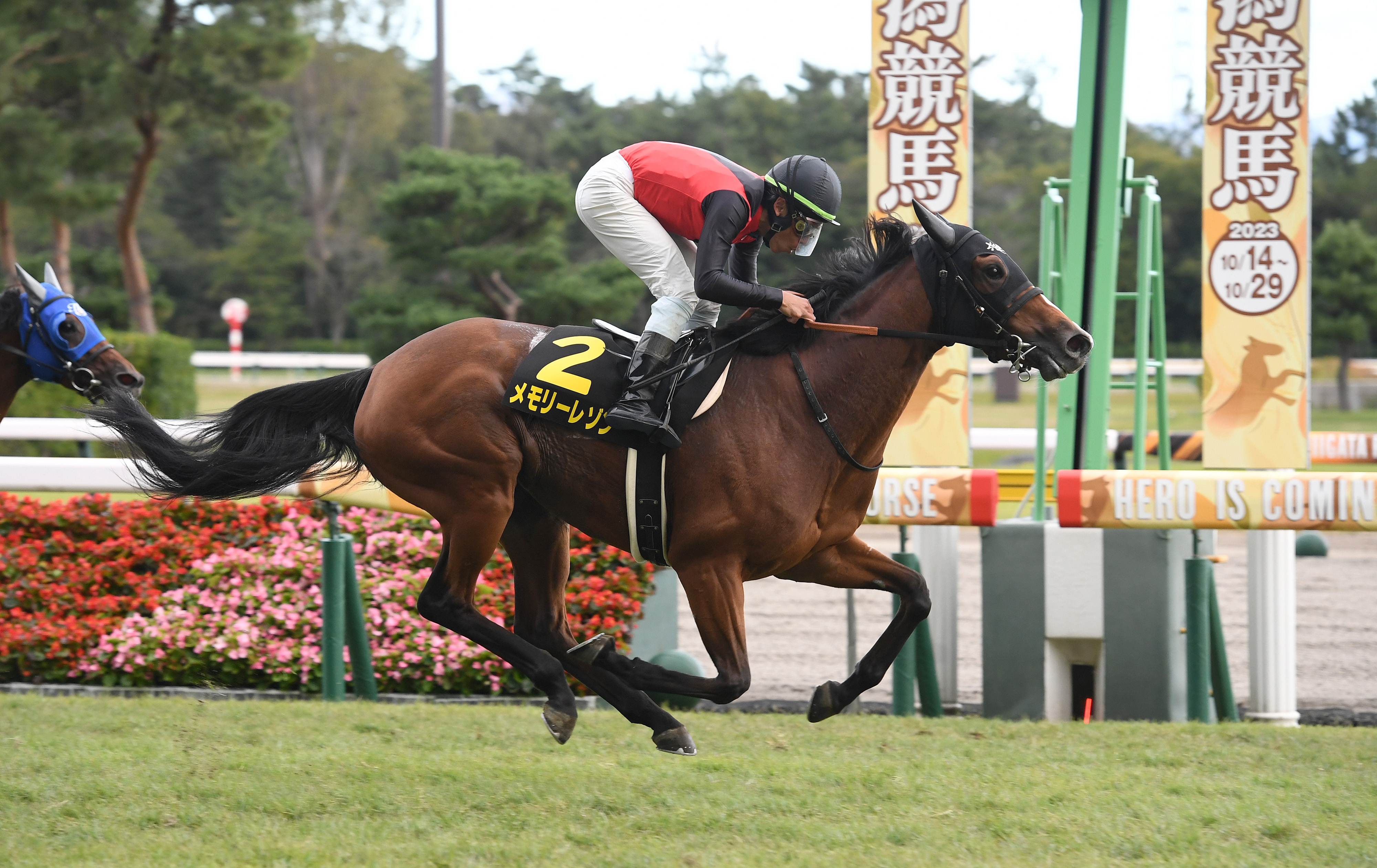 【新潟牝馬Ｓ】メモリーレゾンが力強く抜け出しリステッド初Ｖ