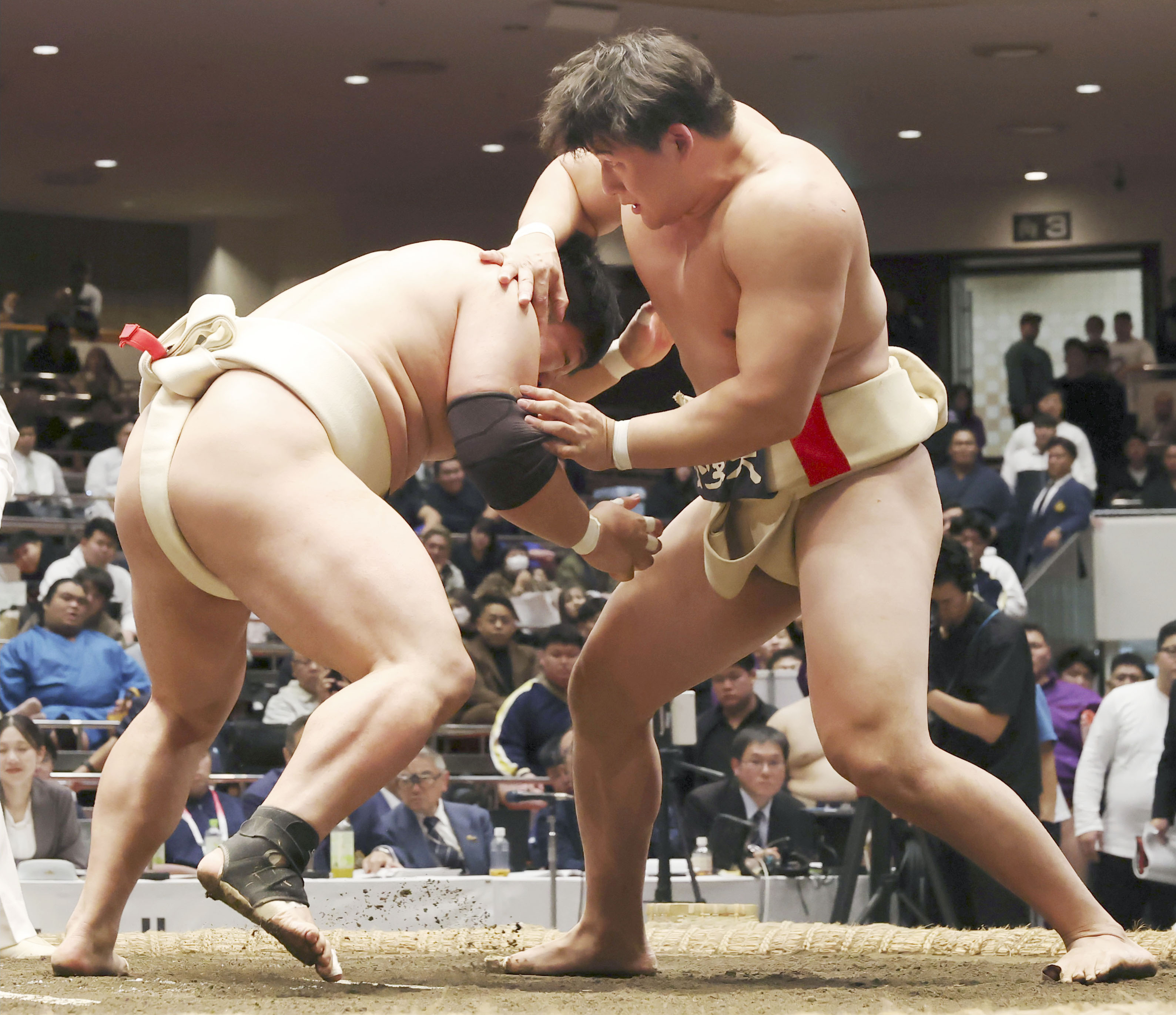 日大の鮫島がアマ横綱 1年生での制覇は5年ぶり3人目の快挙 相撲の